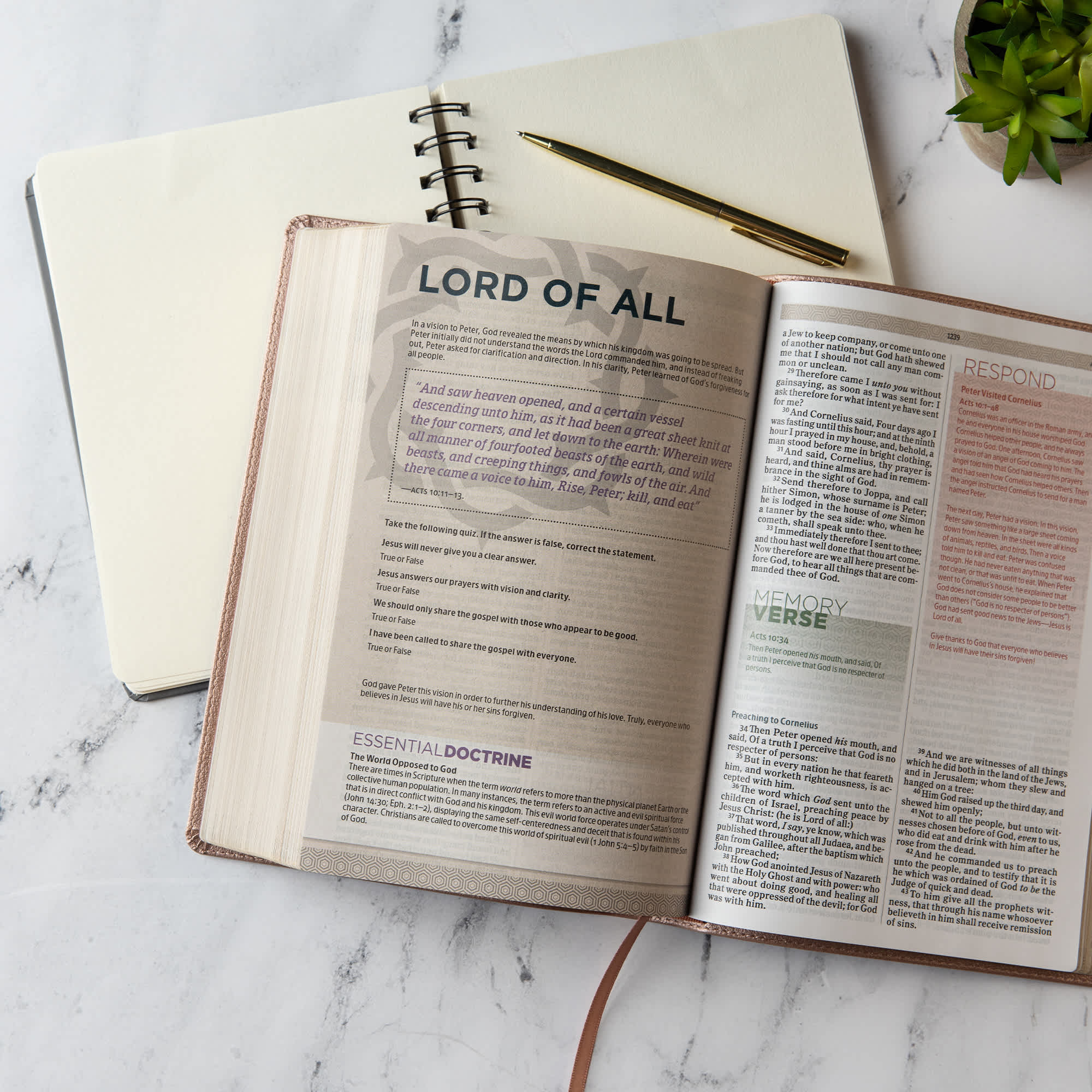slide 7 of 10 for KJV Essential Teen Study Bible, Rose Gold LeatherTouch