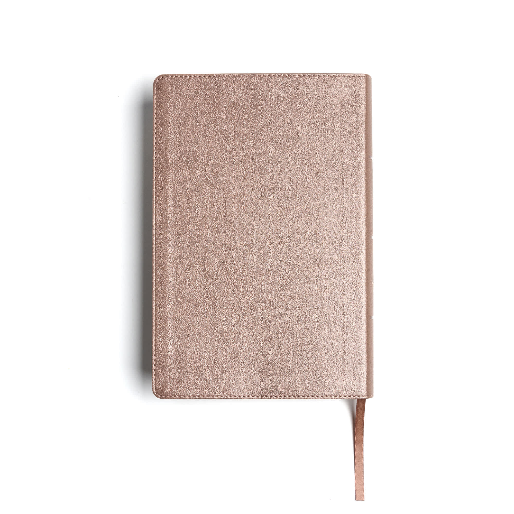 slide 10 of 10 for KJV Essential Teen Study Bible, Rose Gold LeatherTouch