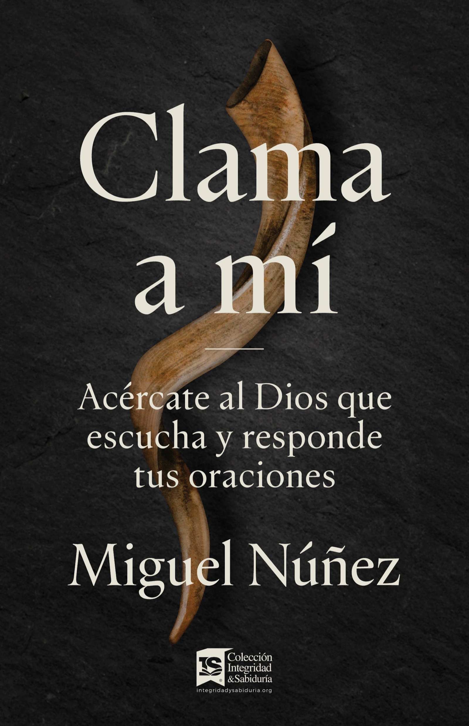 eBook - Work 5-Miguel Nuñez