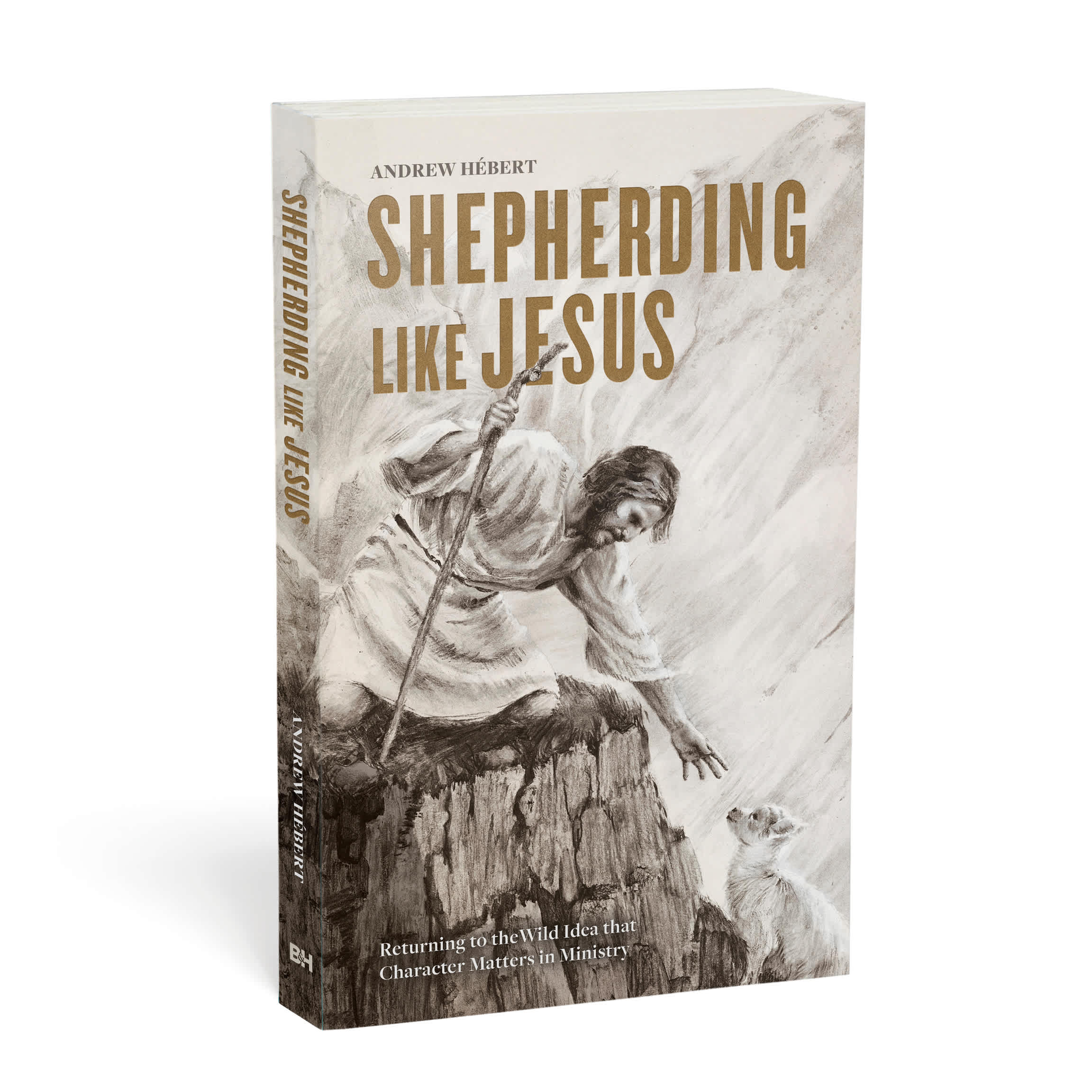 slide 3 of 4 for Shepherding Like Jesus