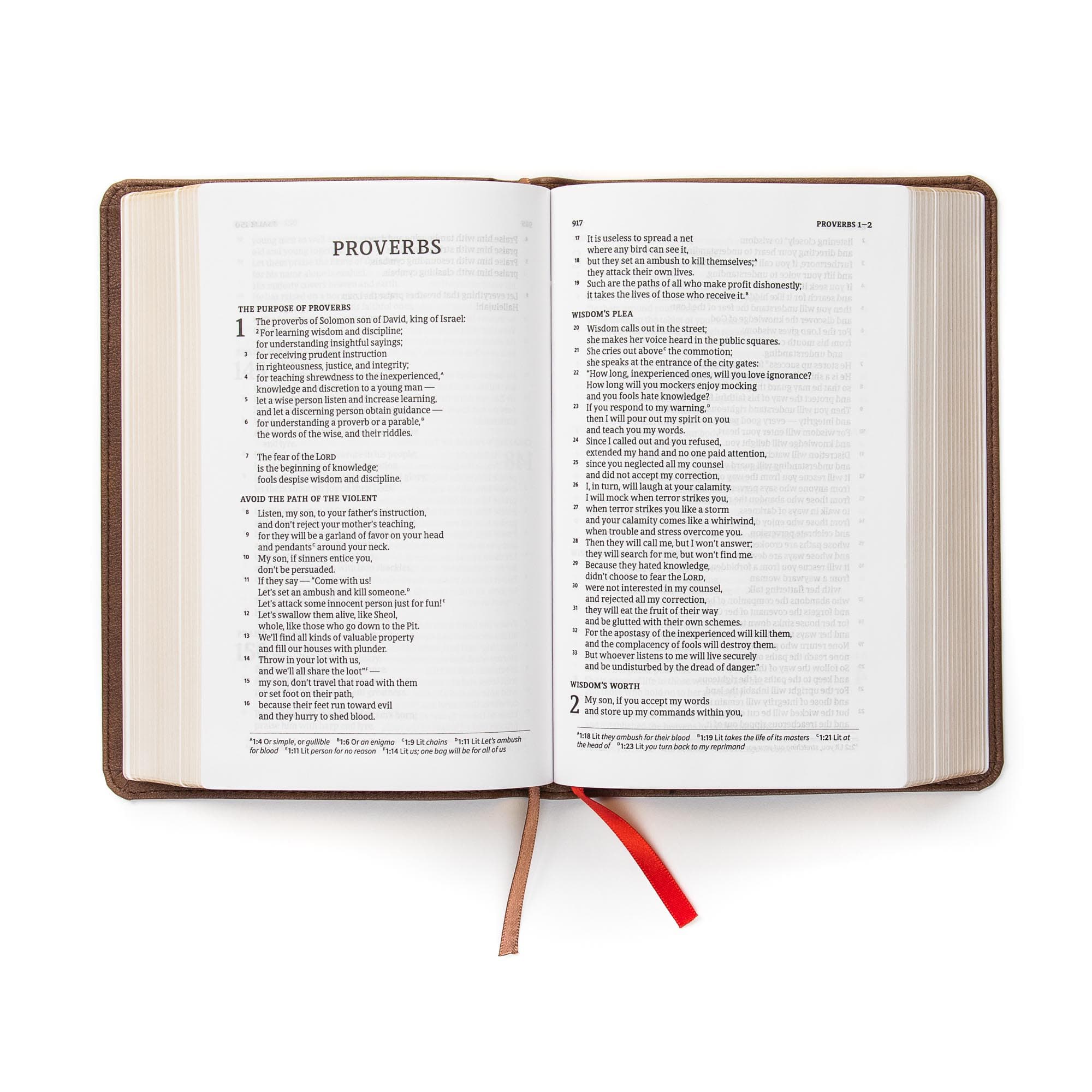 slide 5 of 9 for CSB Single-Column Compact Bible, Brown LeatherTouch