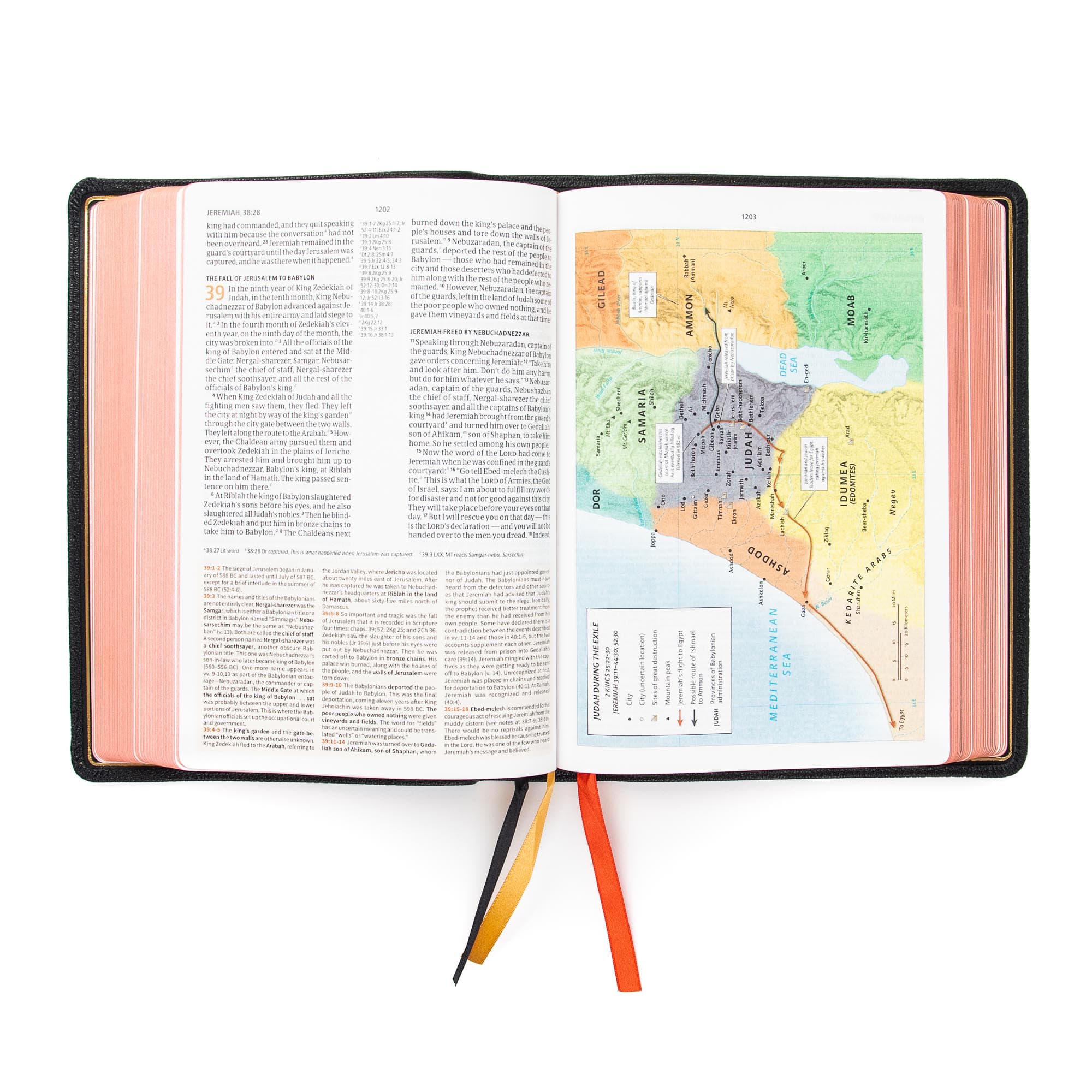 slide 5 of 10 for CSB Study Bible, Holman Handcrafted Collection, Black Premium Goatskin