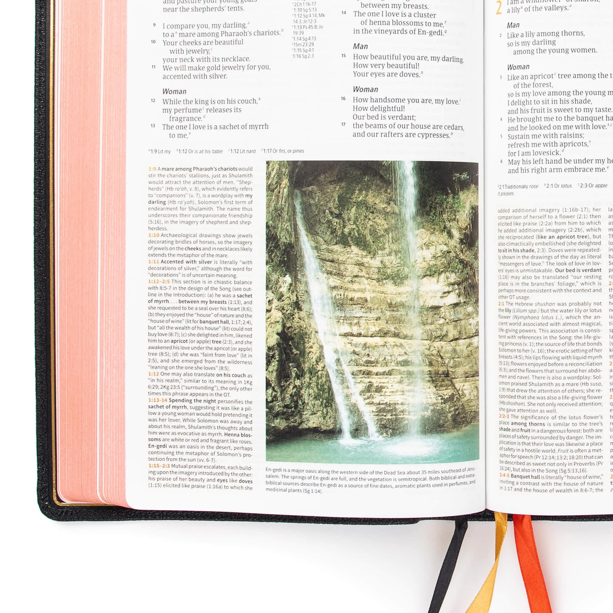 slide 6 of 10 for CSB Study Bible, Holman Handcrafted Collection, Black Premium Goatskin