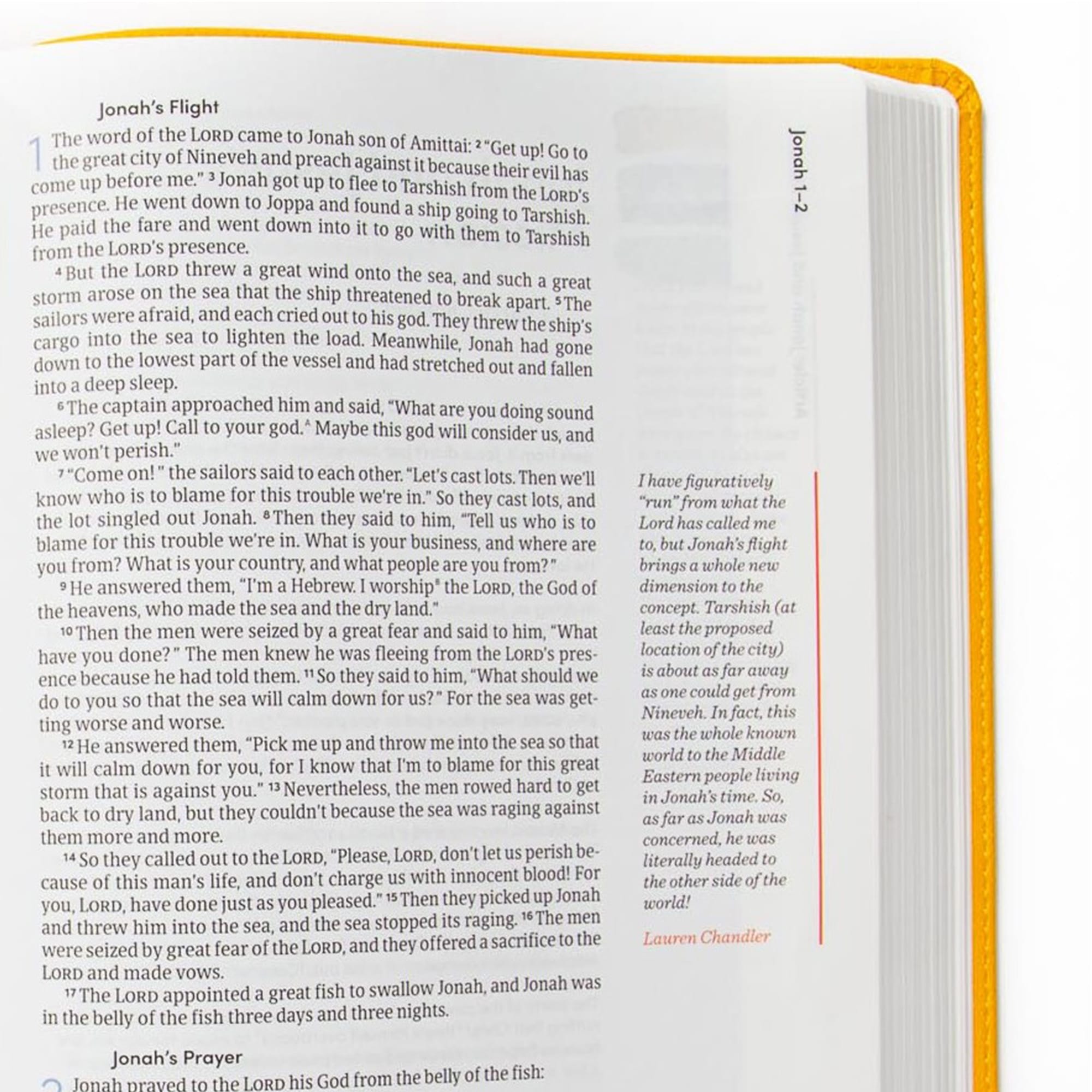 slide 6 of 11 for CSB Lifeway Women's Bible, Marigold LeatherTouch