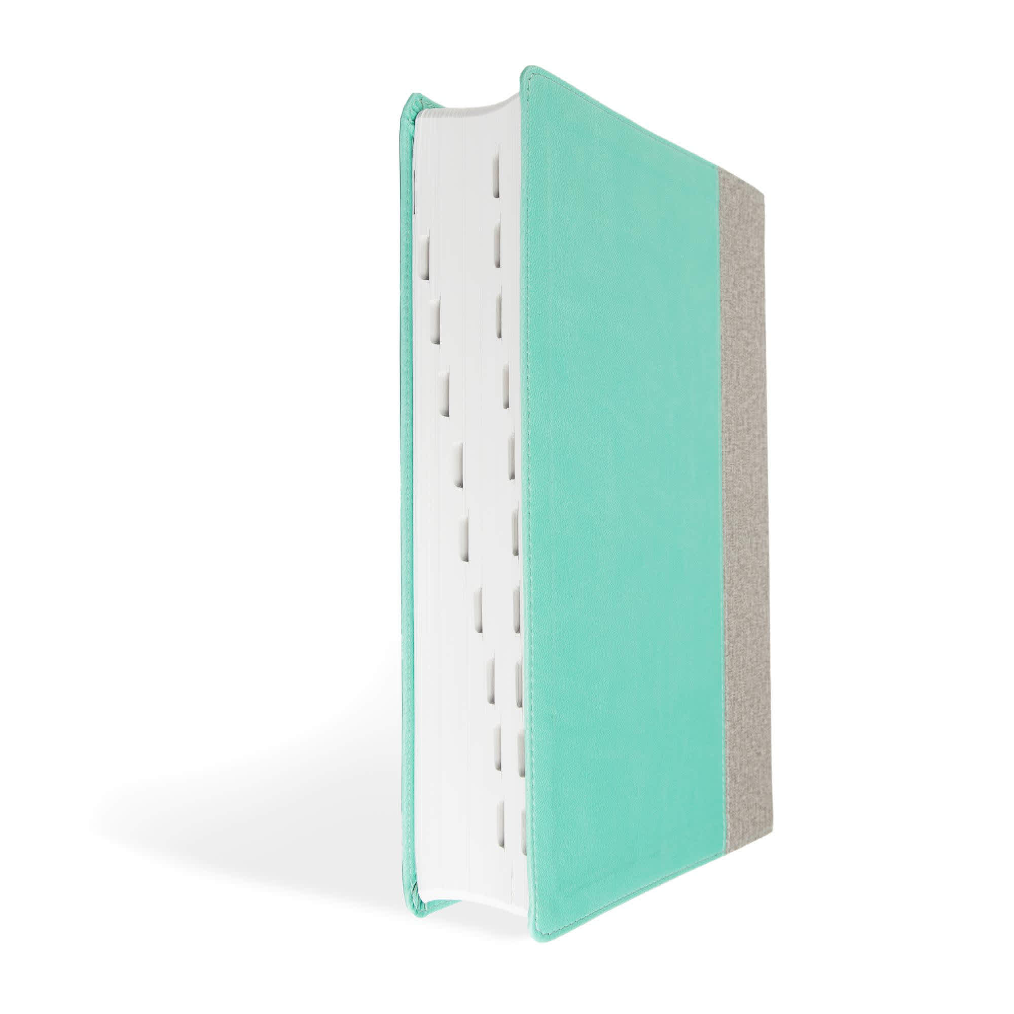 slide 3 of 12 for CSB Lifeway Women's Bible, Gray/Mint LeatherTouch, Indexed