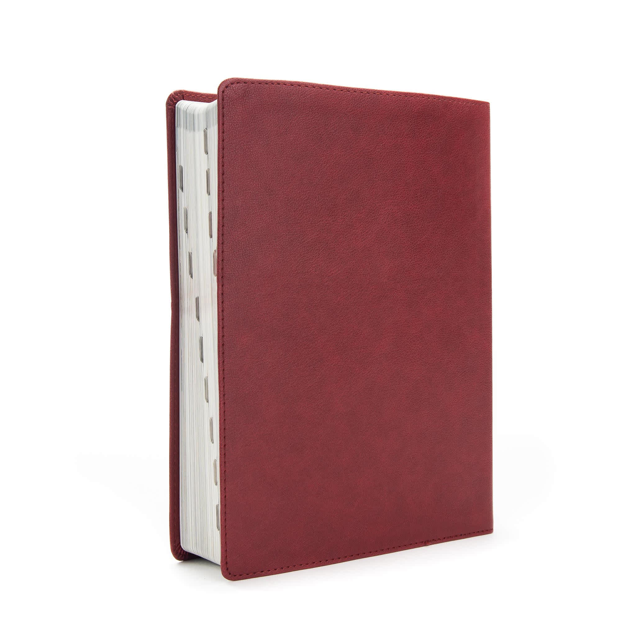 slide 3 of 10 for CSB Holy Land Illustrated Bible, Burgundy LeatherTouch, Indexed