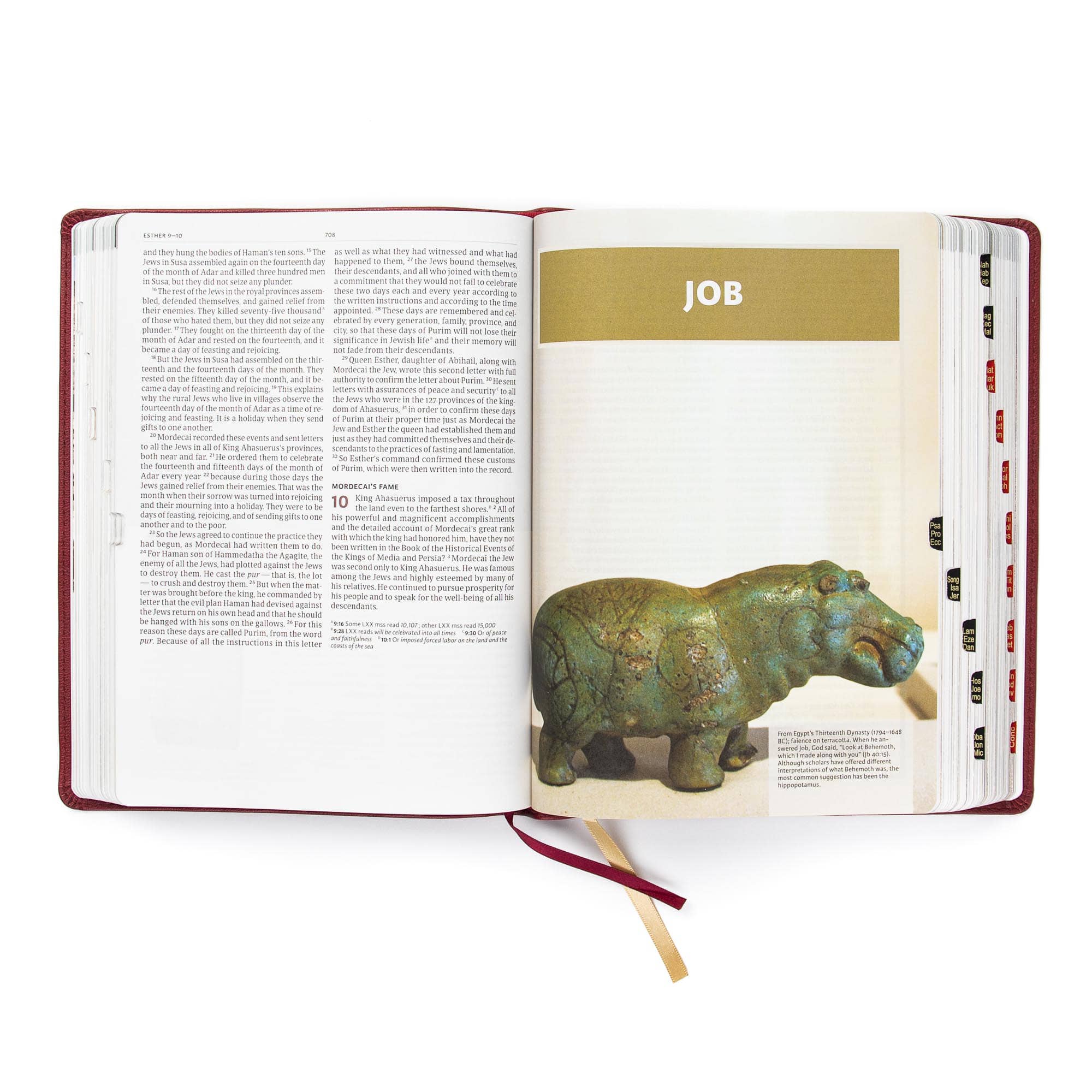 slide 4 of 10 for CSB Holy Land Illustrated Bible, Burgundy LeatherTouch, Indexed