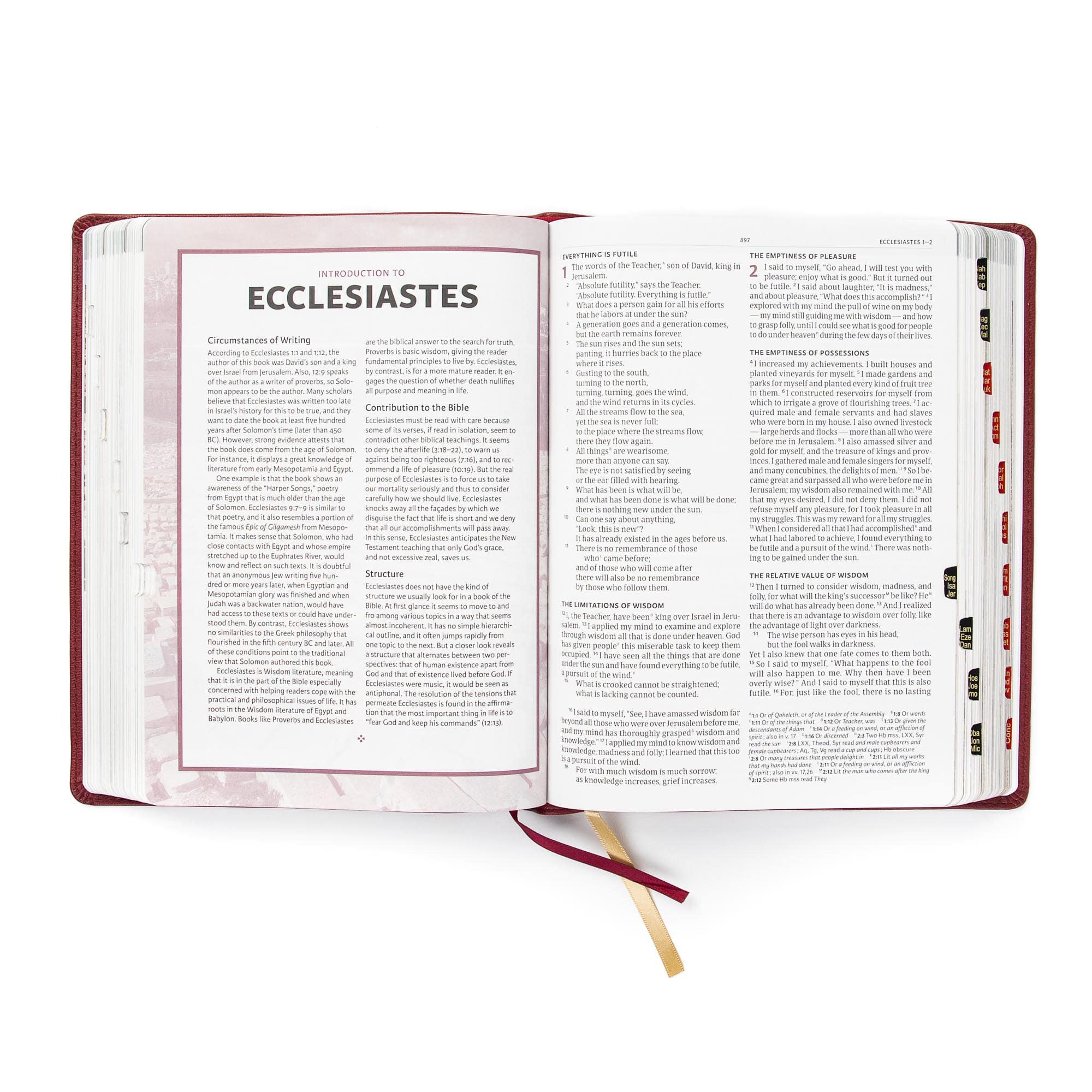 slide 5 of 10 for CSB Holy Land Illustrated Bible, Burgundy LeatherTouch, Indexed