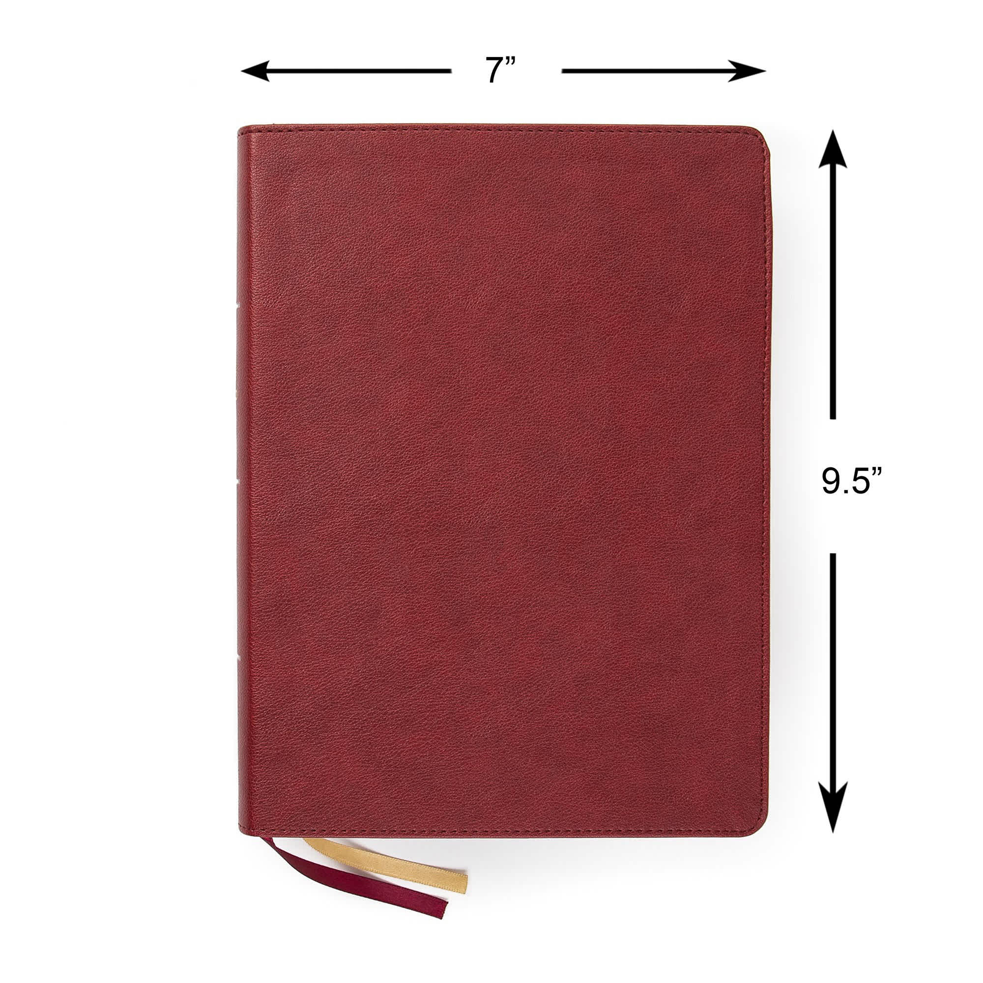 slide 8 of 10 for CSB Holy Land Illustrated Bible, Burgundy LeatherTouch, Indexed