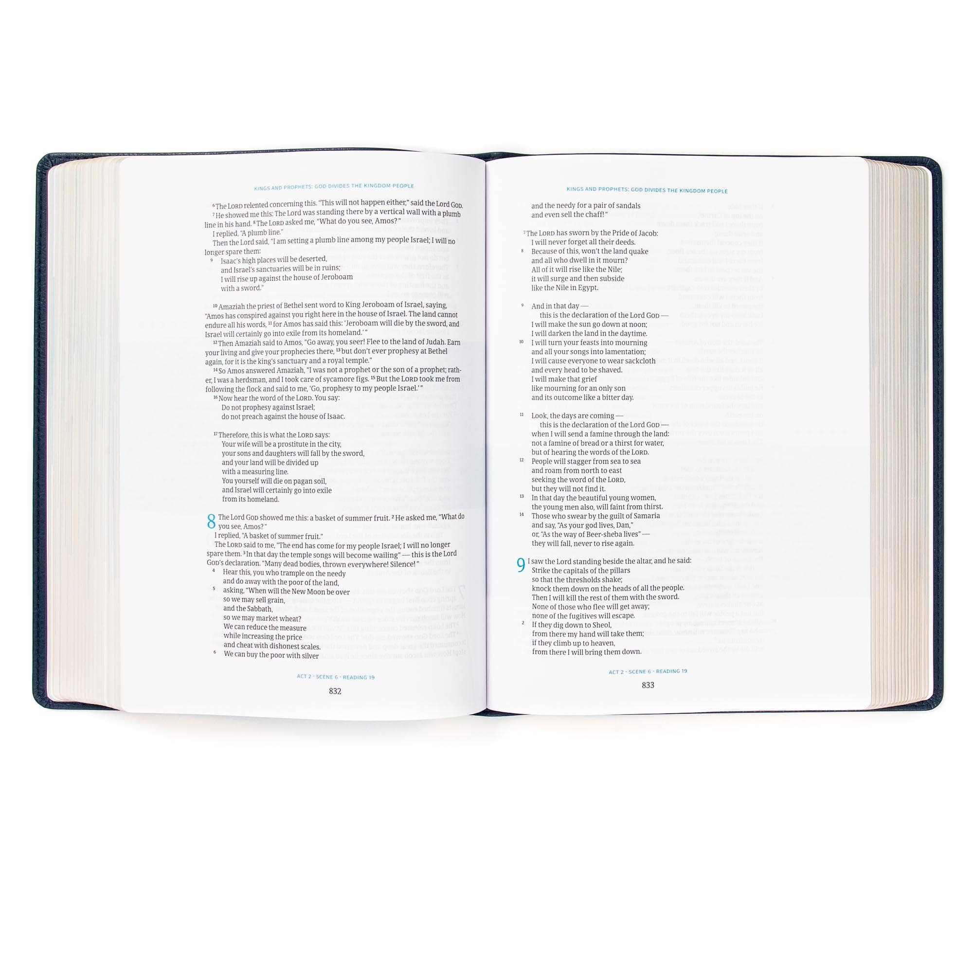 slide 5 of 10 for CSB Day-by-Day Chronological Bible, Navy LeatherTouch