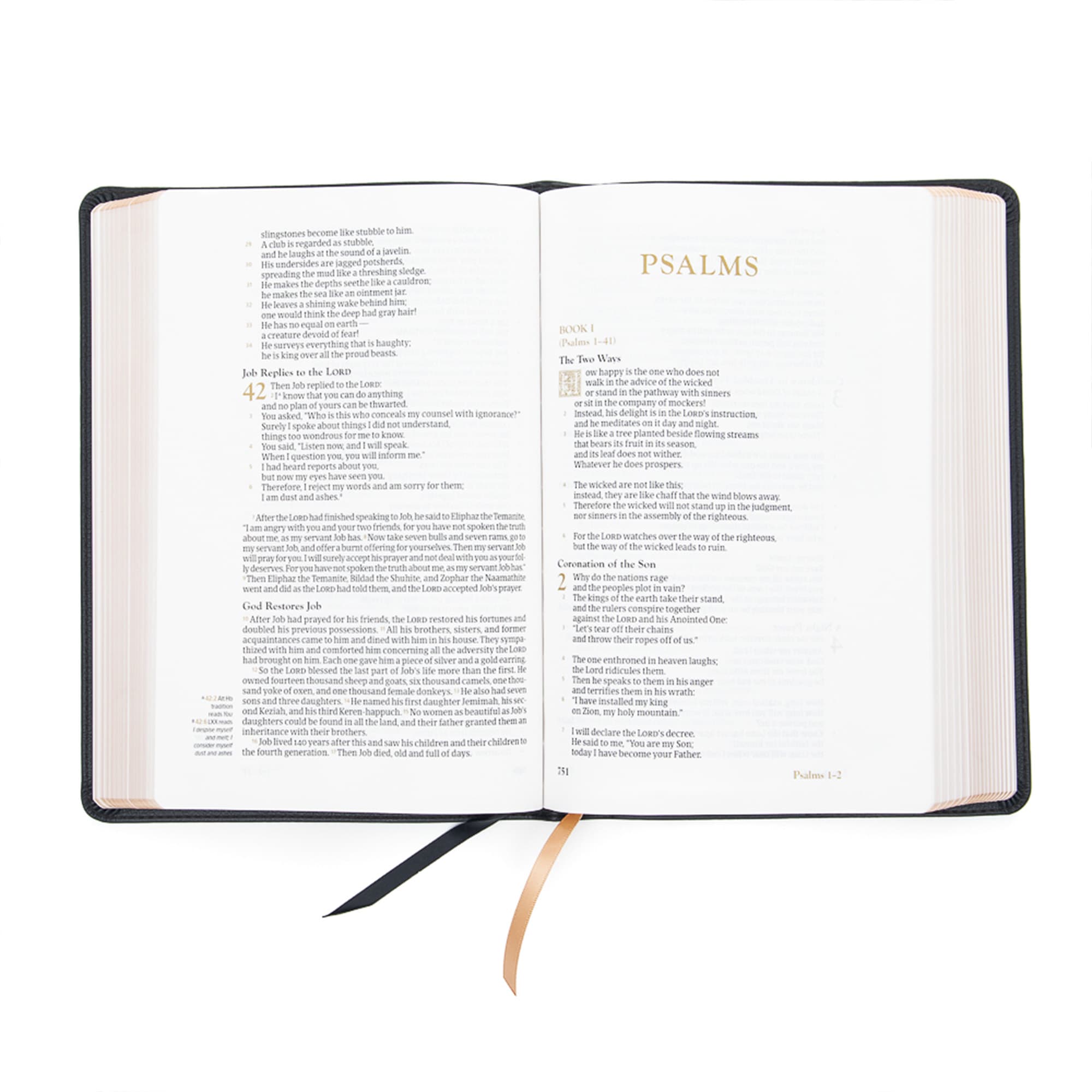 slide 4 of 10 for CSB Adorned Bible, Black LeatherTouch