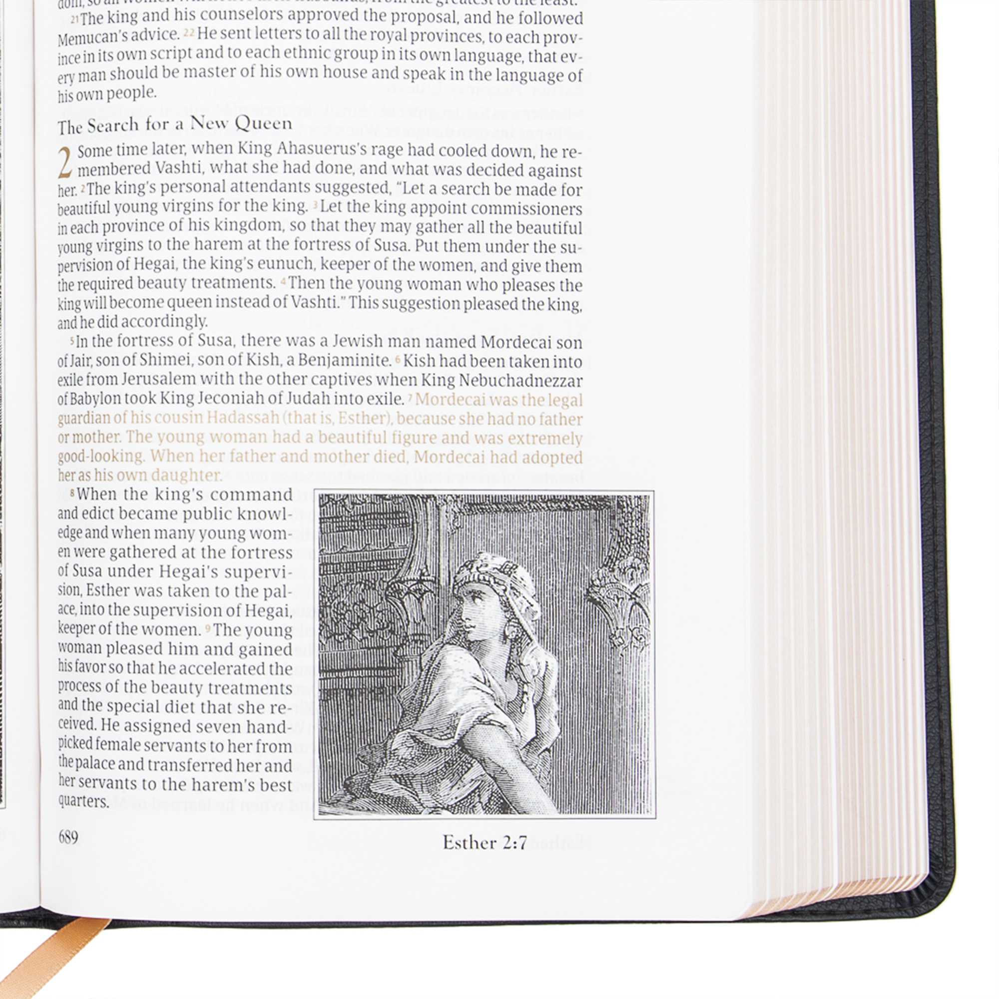 slide 6 of 10 for CSB Adorned Bible, Black LeatherTouch