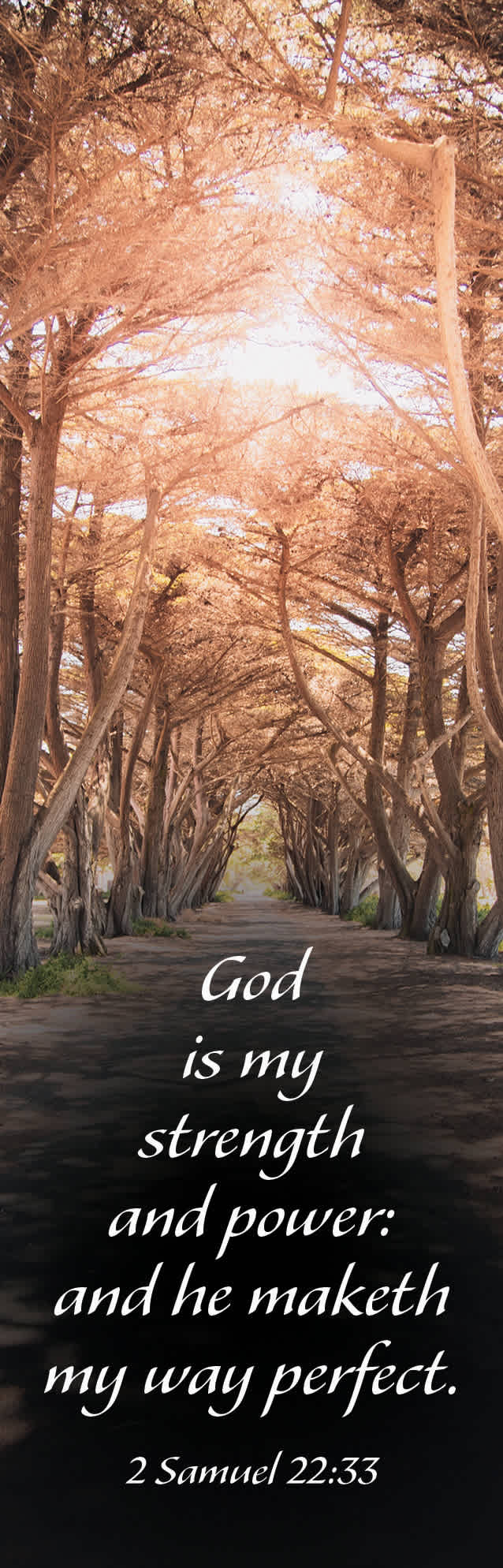 Inspirational Bookmark: My Strength (Package of 25)