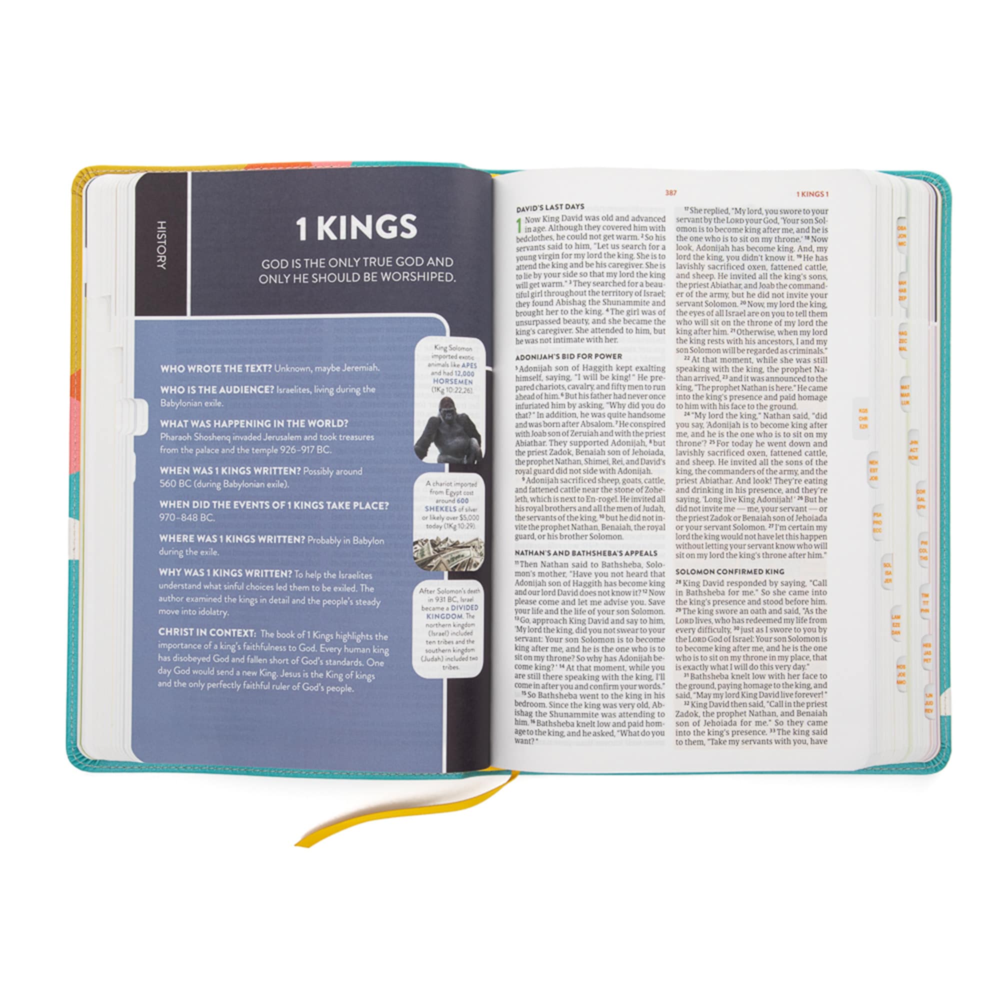 slide 4 of 10 for CSB Explorer Bible for Kids, Hello Sunshine LeatherTouch, Indexed