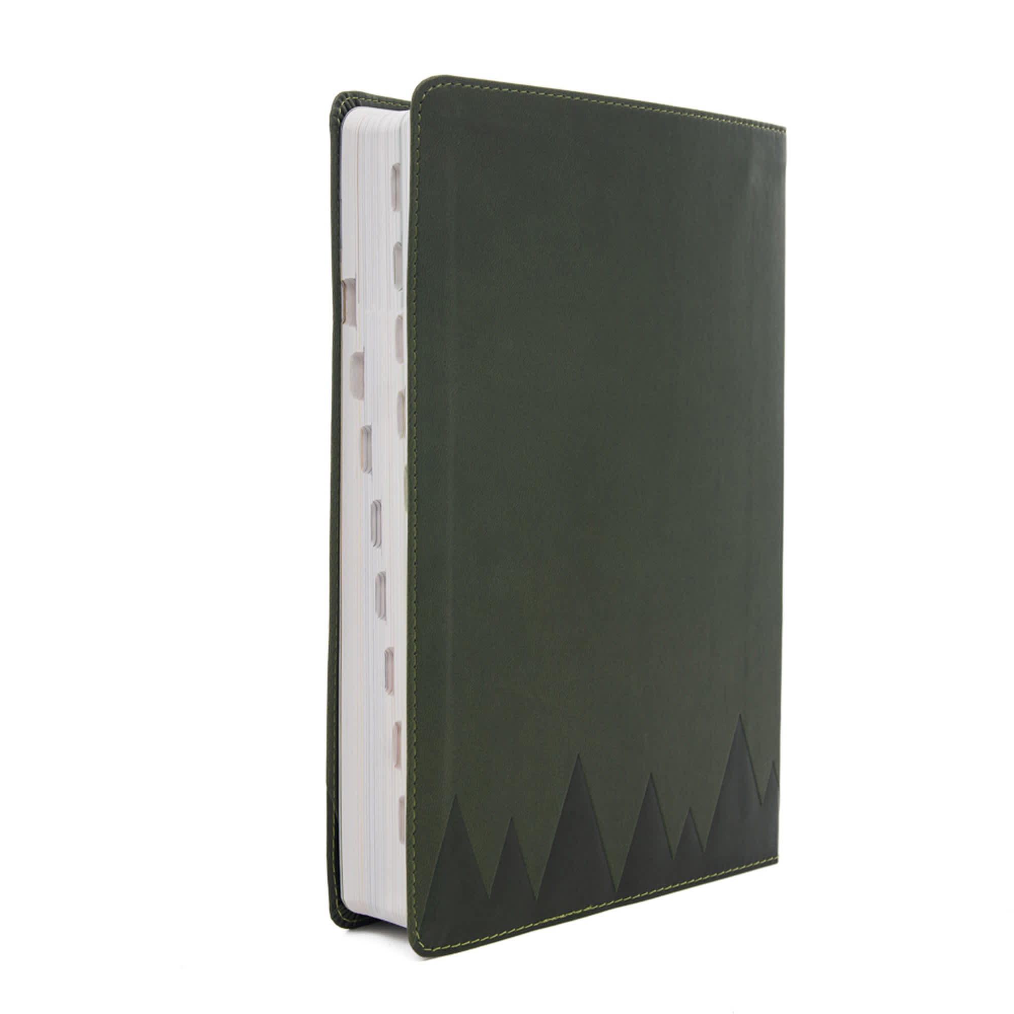 slide 3 of 10 for CSB Explorer Bible for Kids, Olive Compass LeatherTouch, Indexed