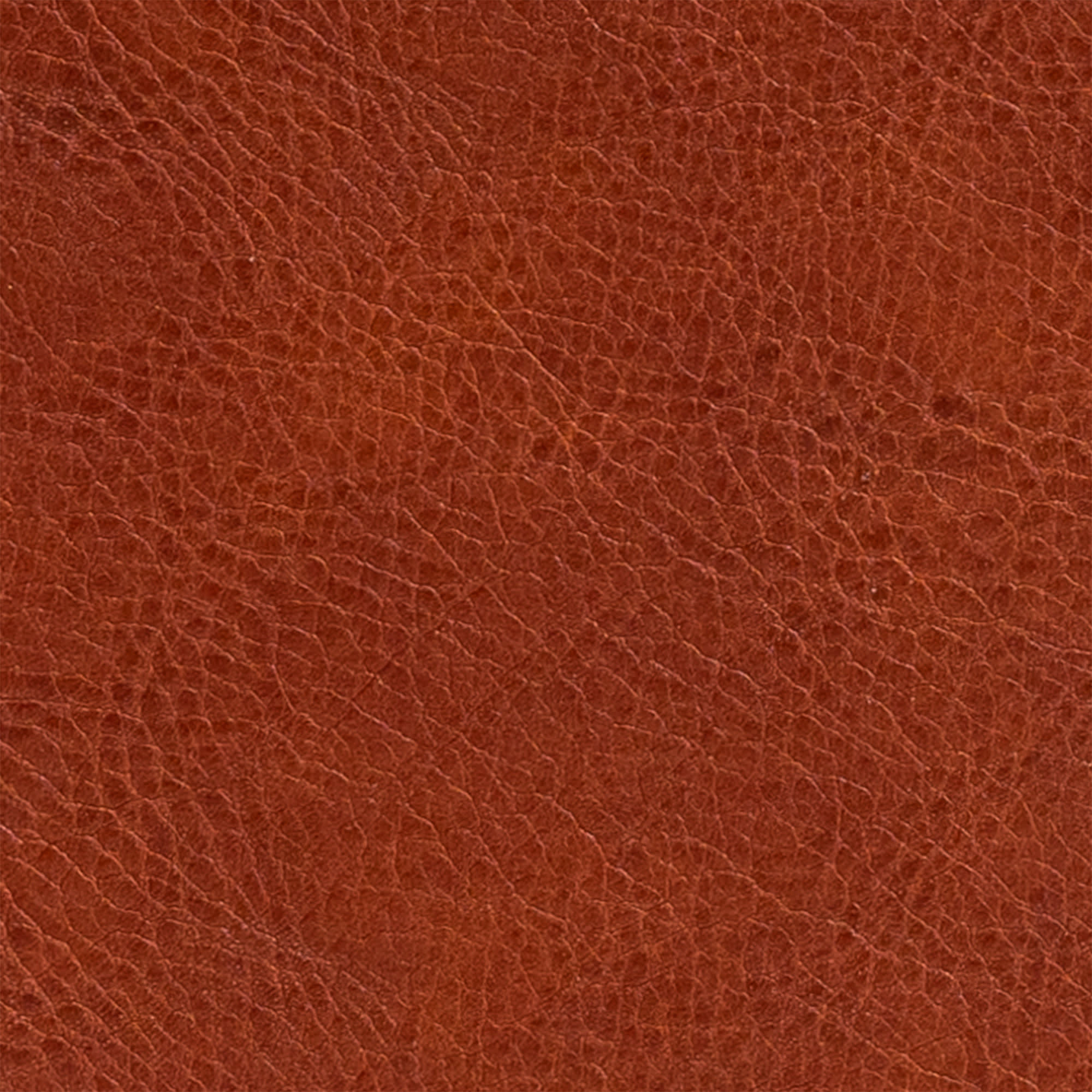 slide 7 of 7 for NASB Large Print Compact Reference Bible, Burnt Sienna LeatherTouch