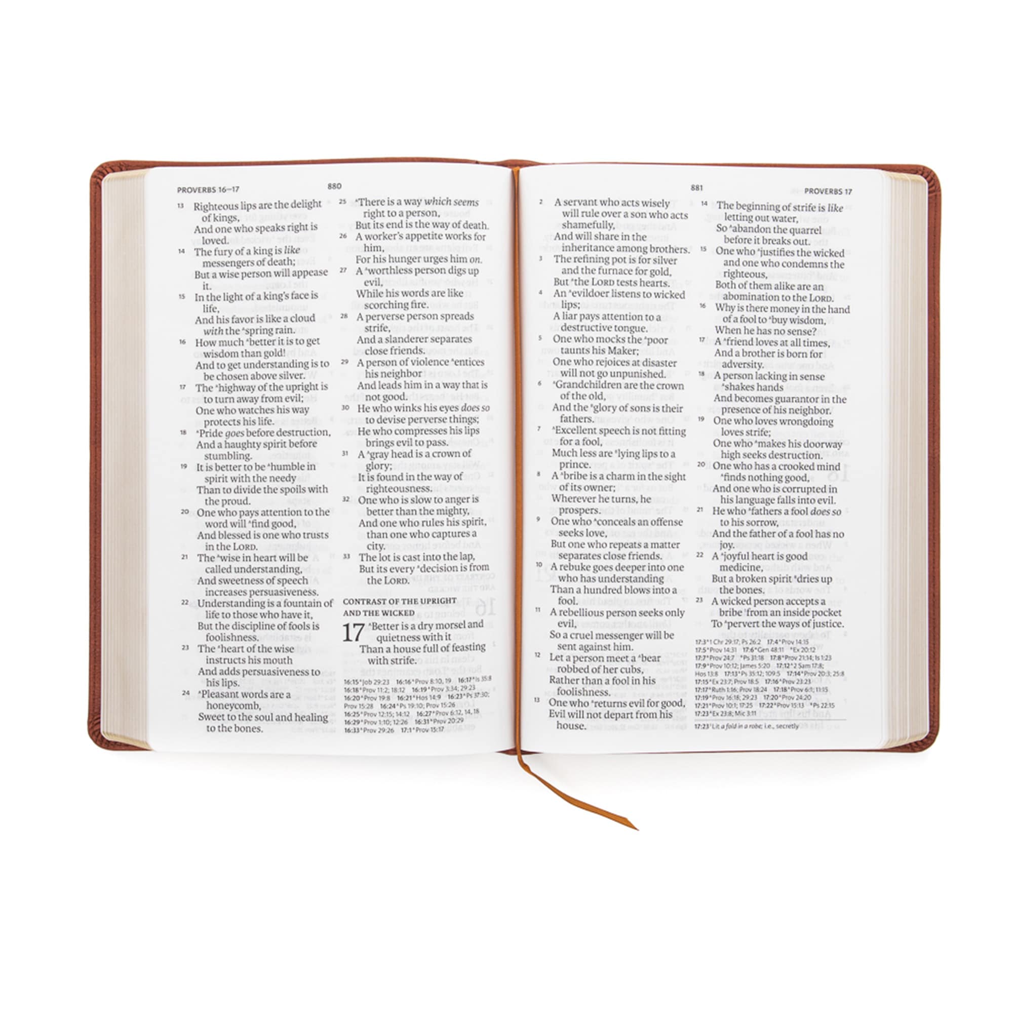 slide 5 of 10 for NASB Giant Print Reference Bible, Burnt Sienna LeatherTouch