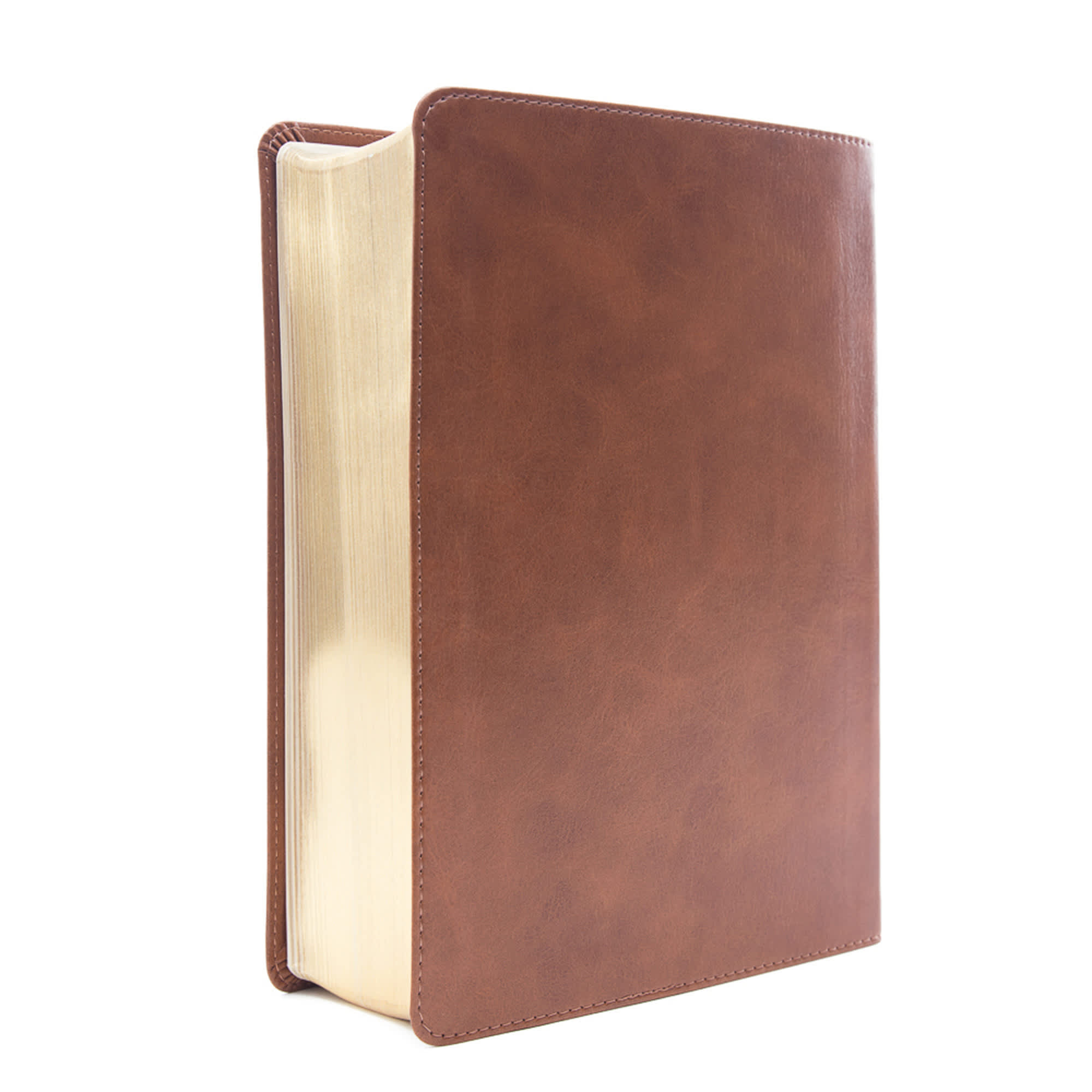 slide 3 of 10 for CSB He Reads Truth Bible, Saddle LeatherTouch