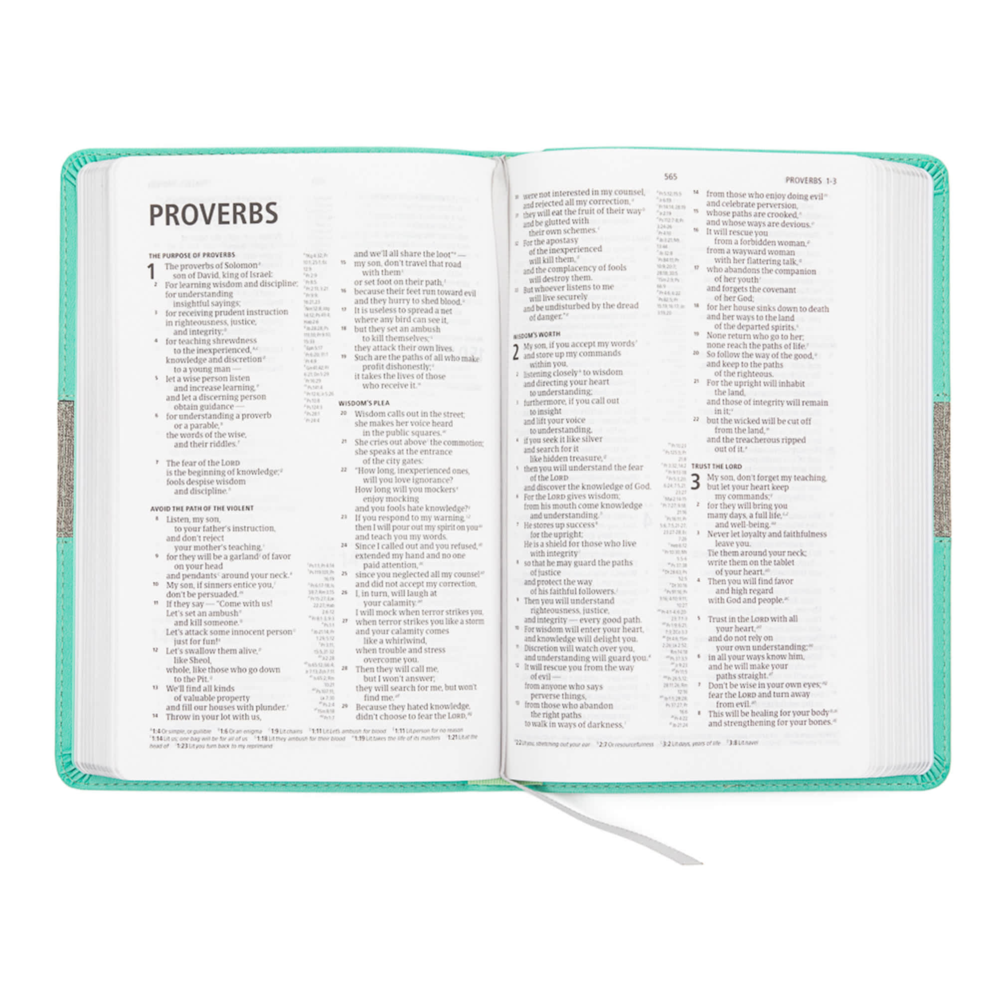 slide 4 of 10 for CSB Thinline Reference Bible, Mint/Gray LeatherTouch