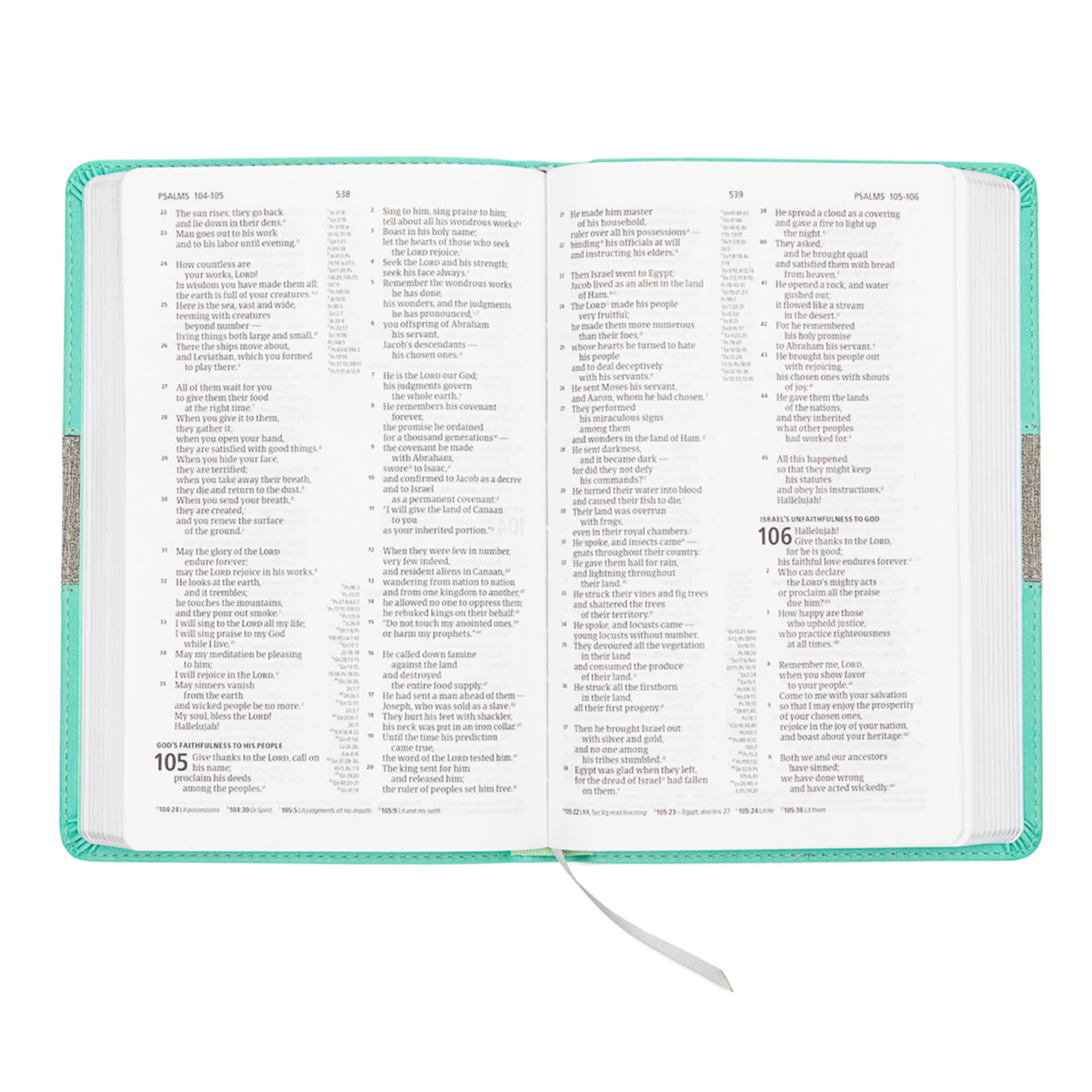 slide 5 of 10 for CSB Thinline Reference Bible, Mint/Gray LeatherTouch