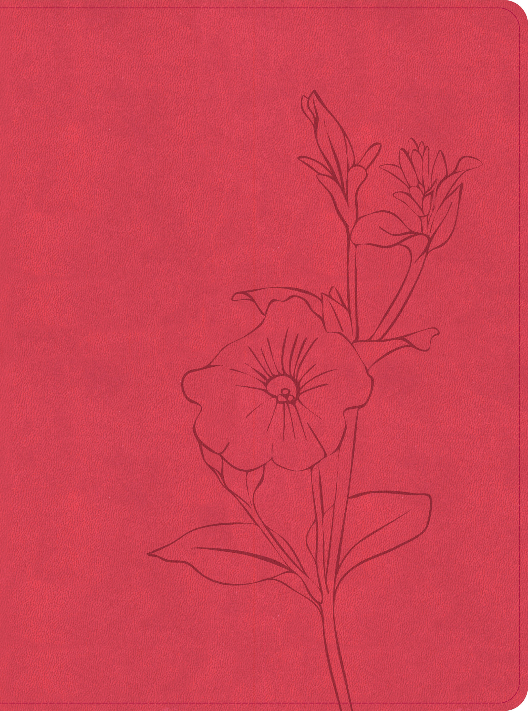 slide 1 of 2 for CSB Lifeway Women's Bible, Coral LeatherTouch