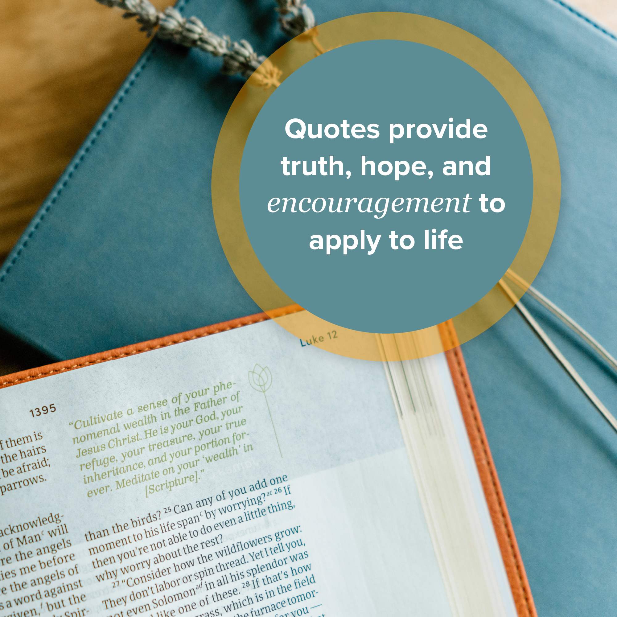 slide 15 of 17 for CSB Life Counsel Bible, Hardcover