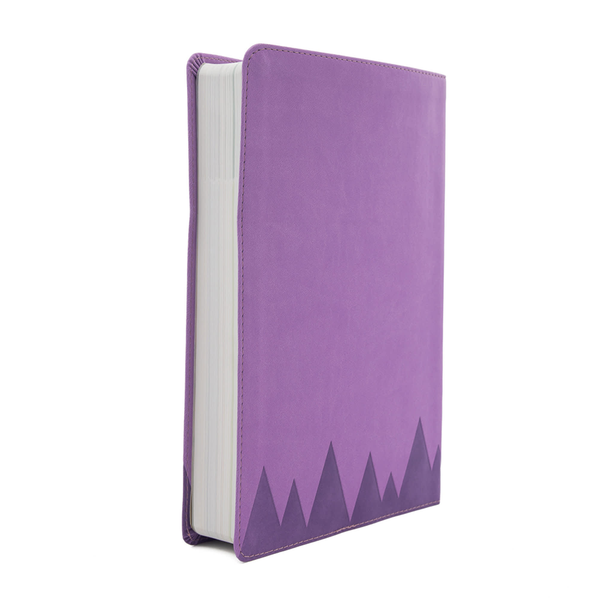 slide 3 of 10 for CSB Explorer Bible for Kids, Lavender Compass LeatherTouch
