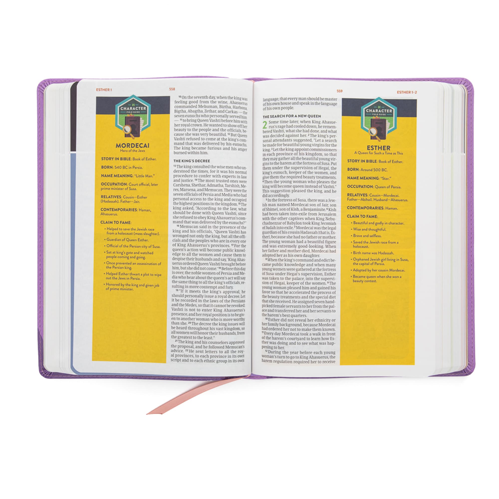 slide 5 of 10 for CSB Explorer Bible for Kids, Lavender Compass LeatherTouch