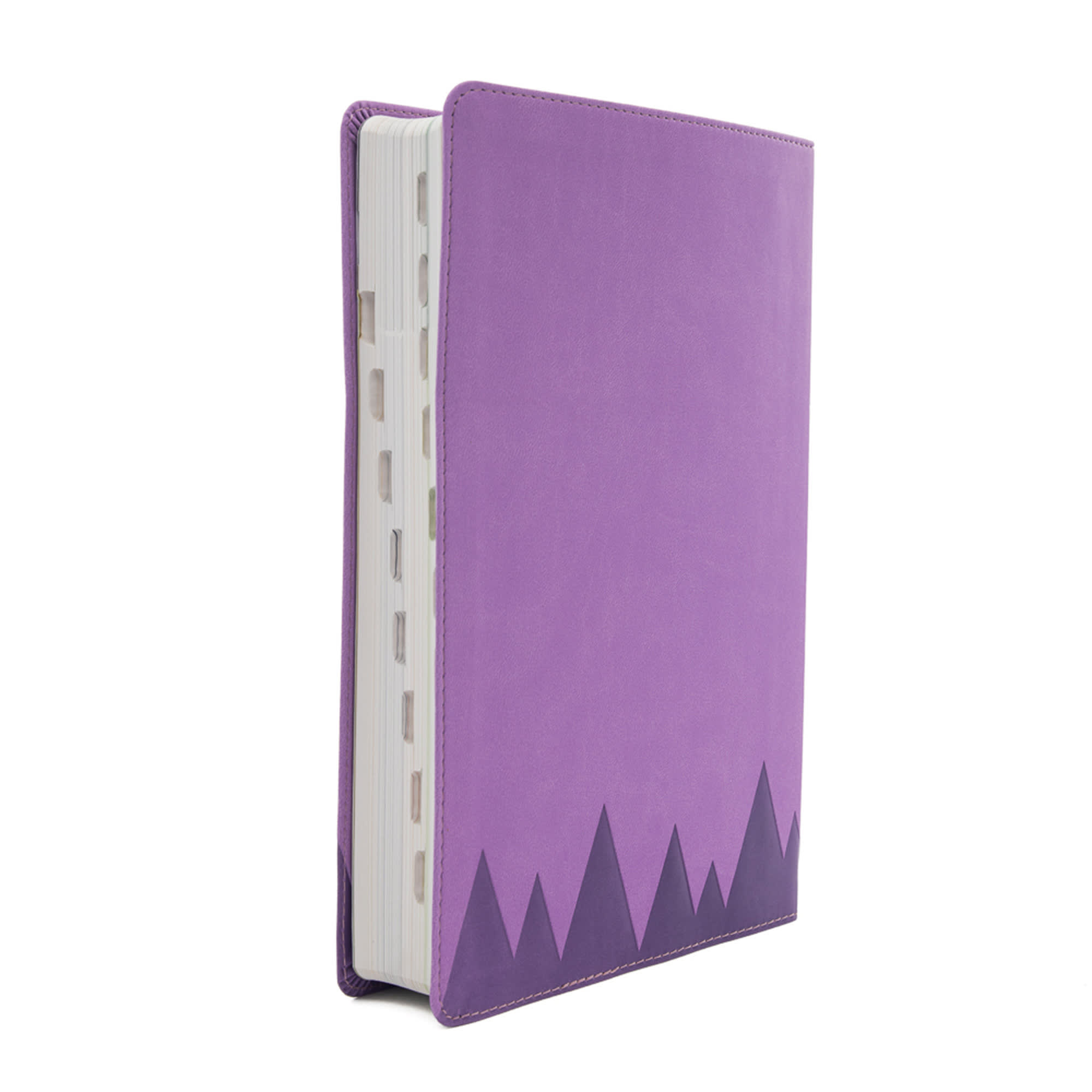 slide 3 of 10 for CSB Explorer Bible for Kids, Lavender Compass LeatherTouch, Indexed