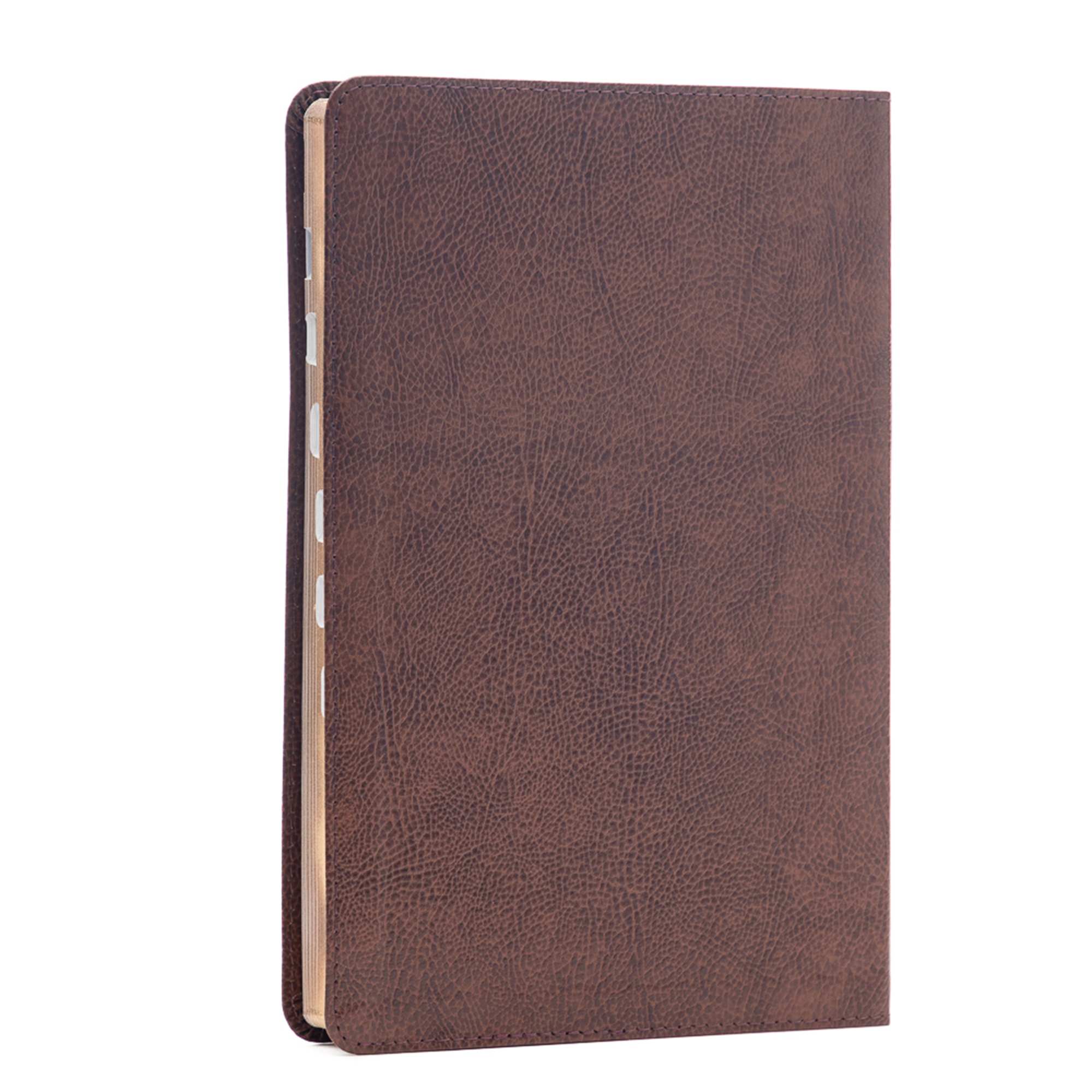 slide 3 of 8 for CSB Large Print Thinline Bible, Brown Bonded Leather, Indexed