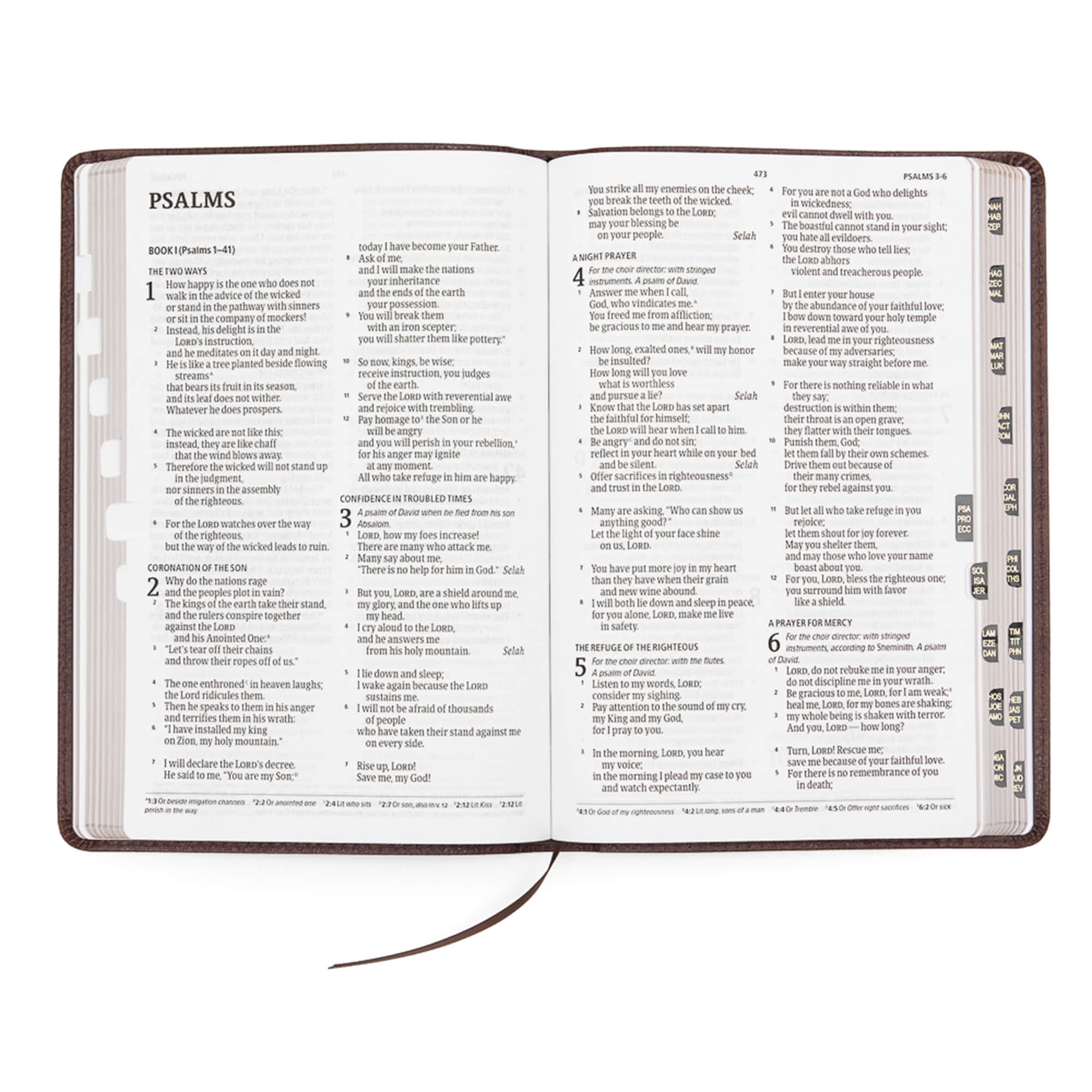 slide 4 of 8 for CSB Large Print Thinline Bible, Brown Bonded Leather, Indexed