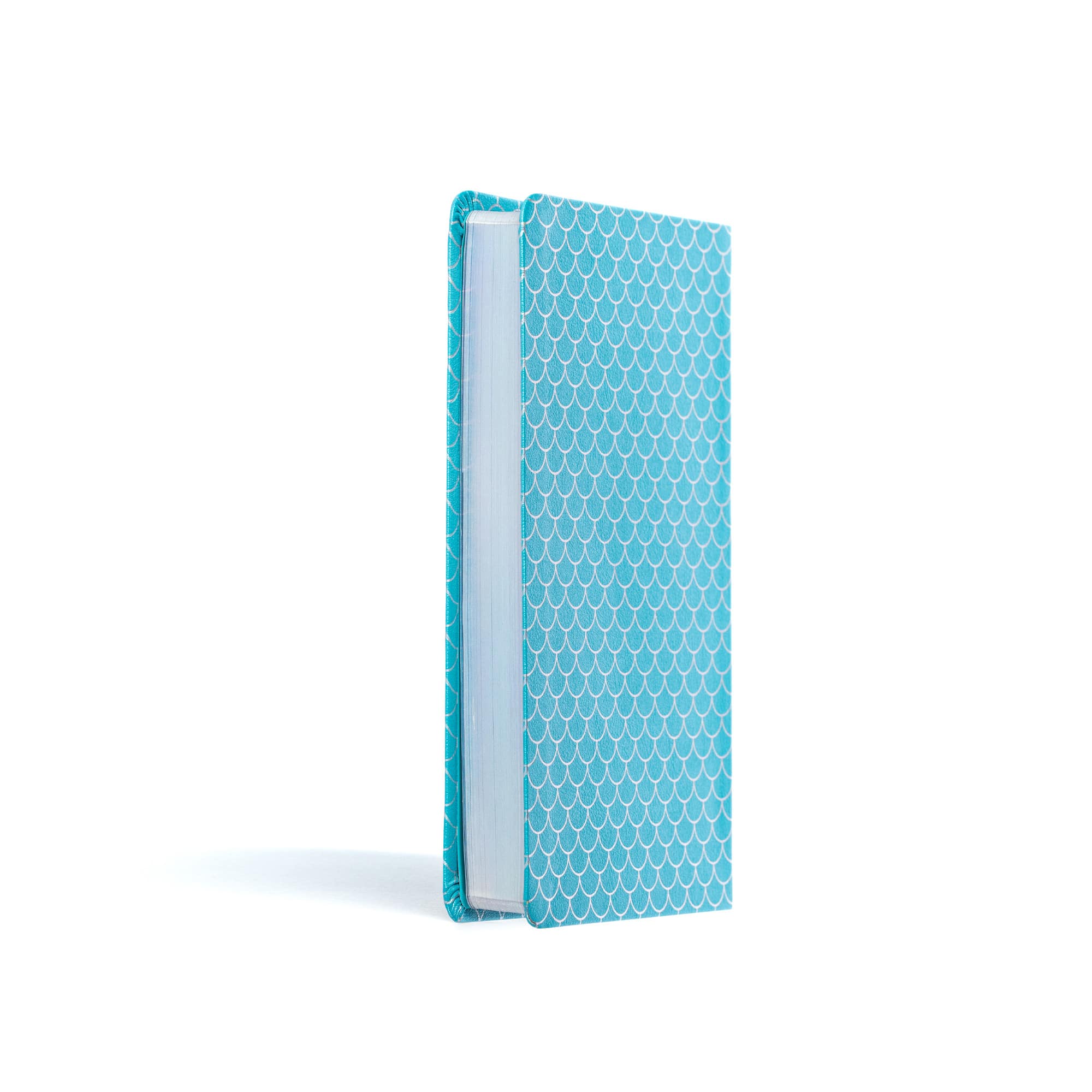 slide 3 of 11 for KJV Kids Bible, Thinline Edition, Aqua LeatherTouch