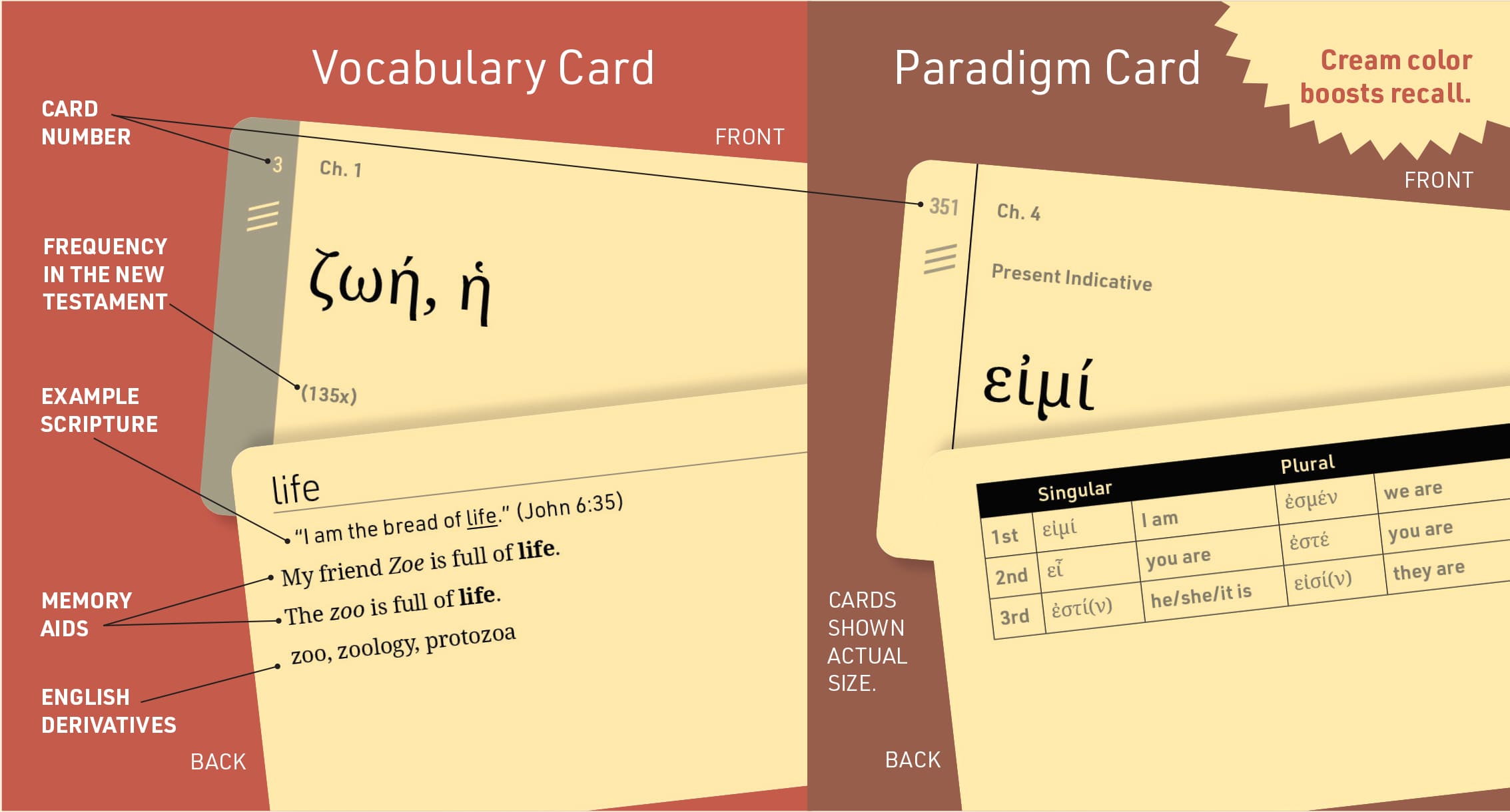 slide 4 of 4 for Beginning with New Testament Greek Vocabulary and Paradigm Cards