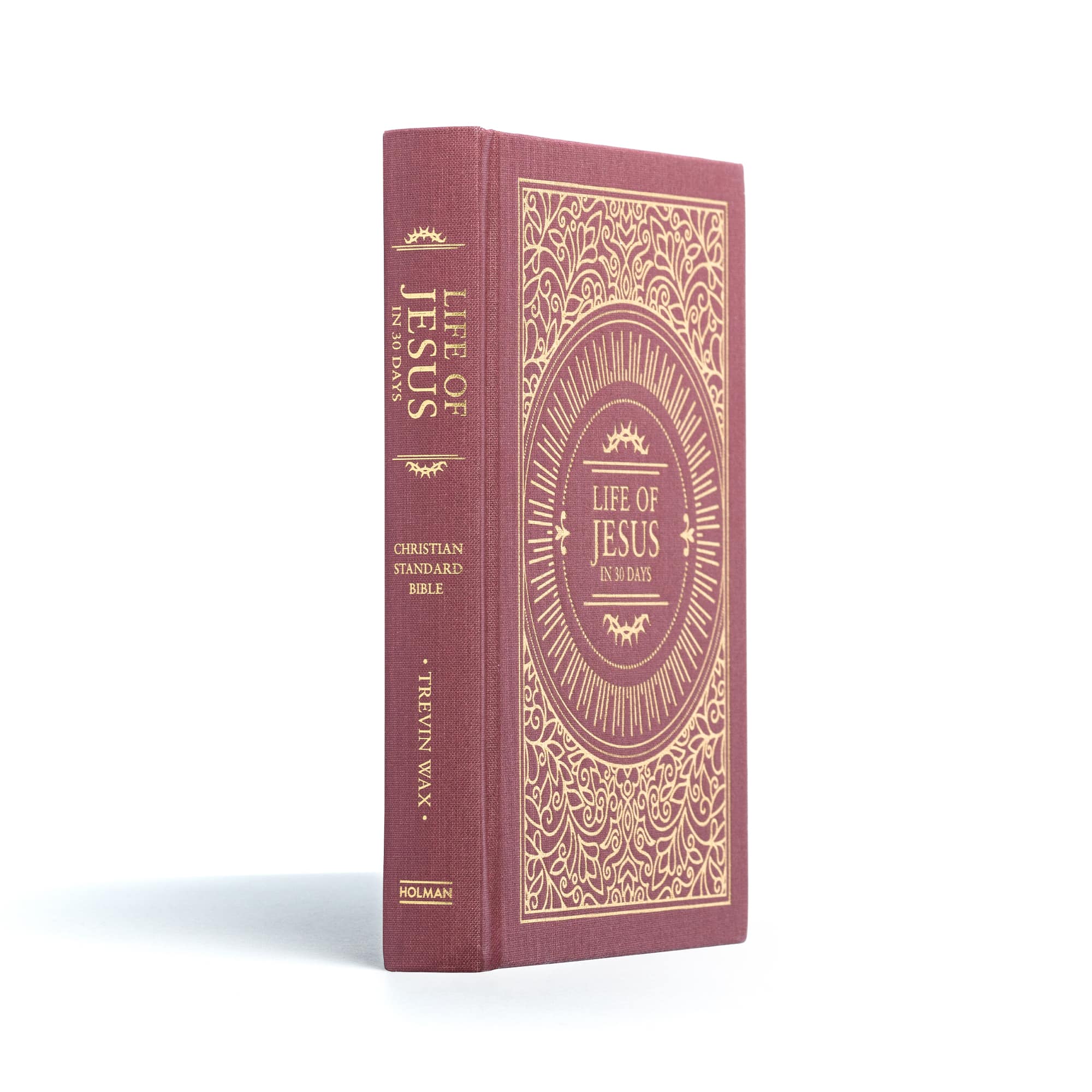 slide 2 of 10 for The Life of Jesus in 30 Days: CSB Edition