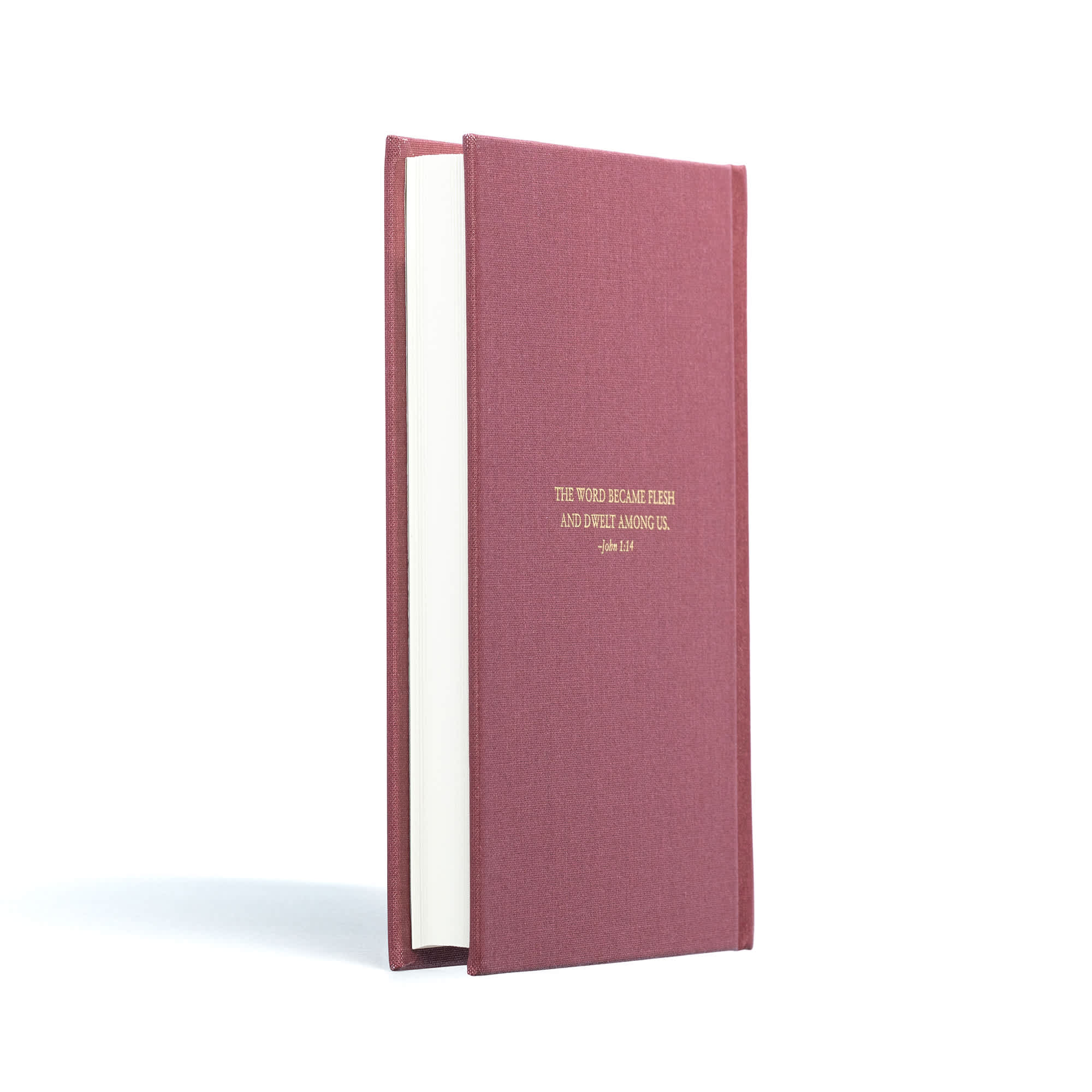 slide 3 of 10 for The Life of Jesus in 30 Days: CSB Edition