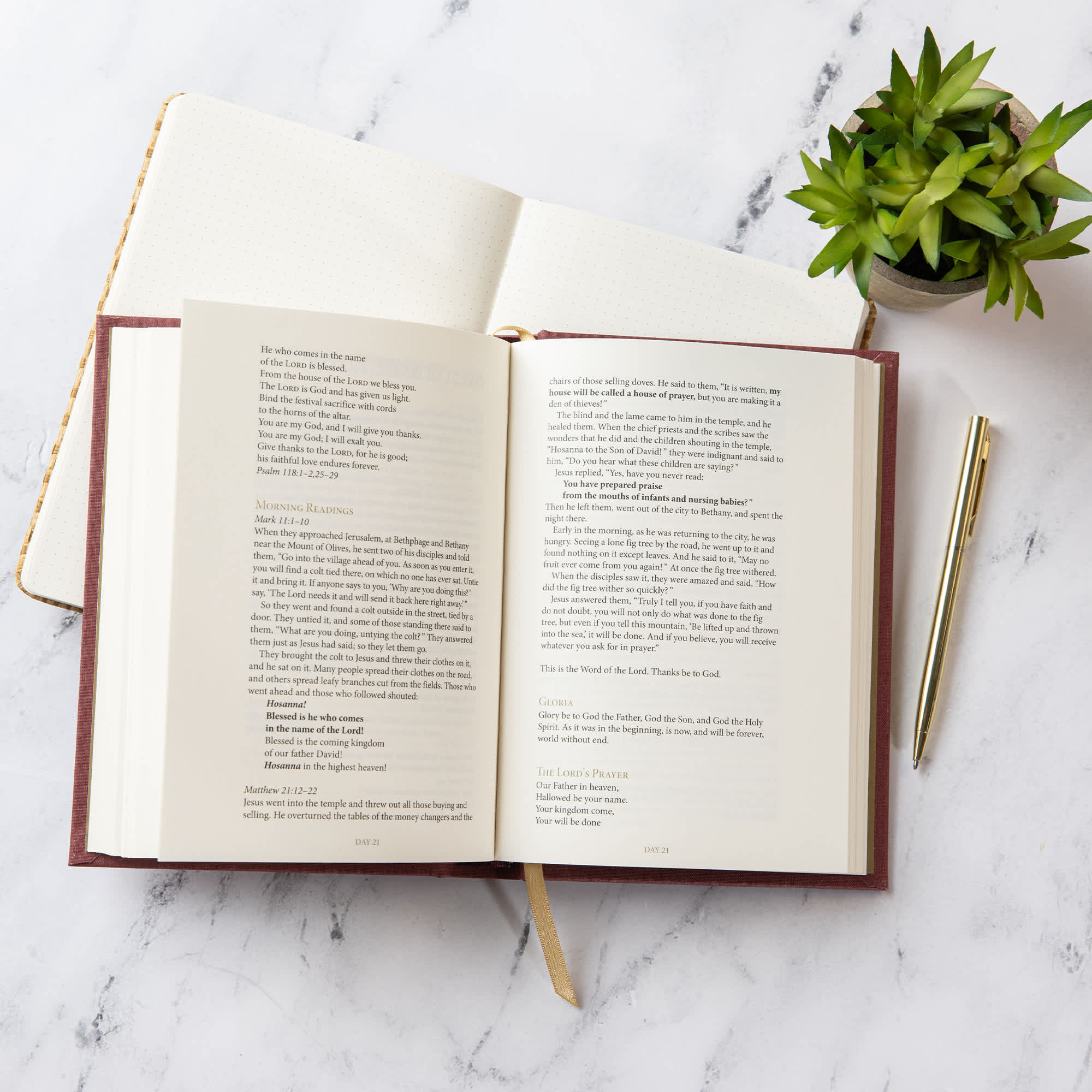 slide 5 of 10 for The Life of Jesus in 30 Days: CSB Edition