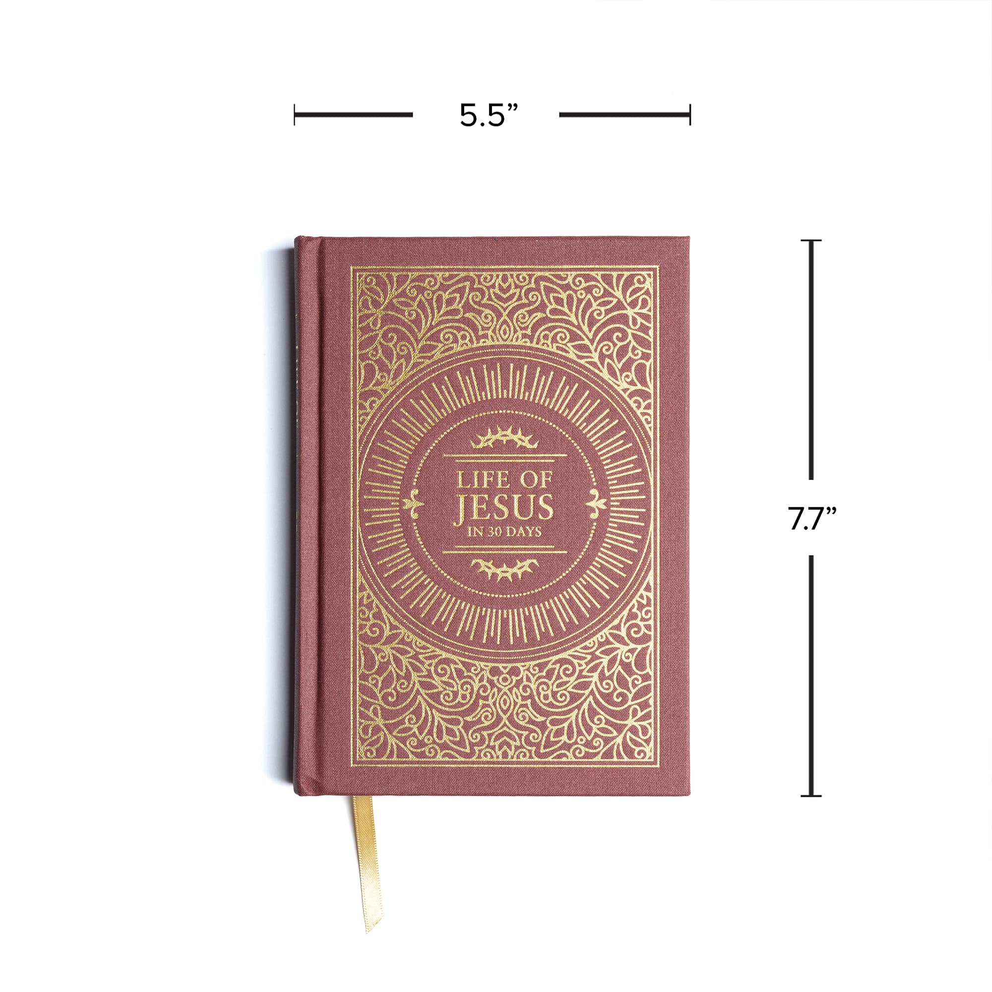 slide 8 of 10 for Life of Jesus in 30 Days: CSB Edition