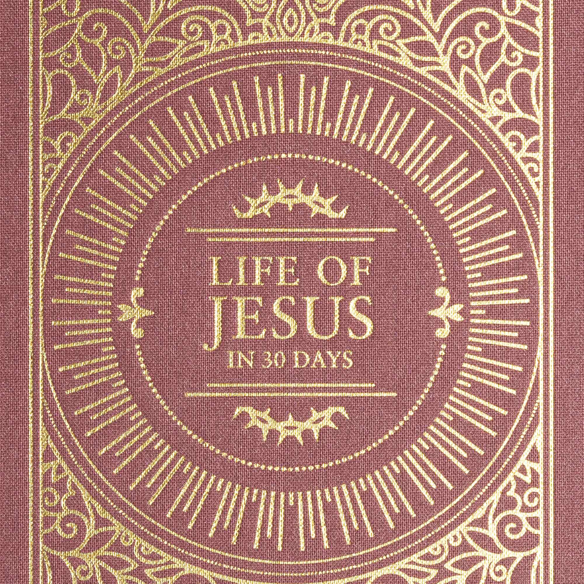 slide 9 of 10 for Life of Jesus in 30 Days: CSB Edition