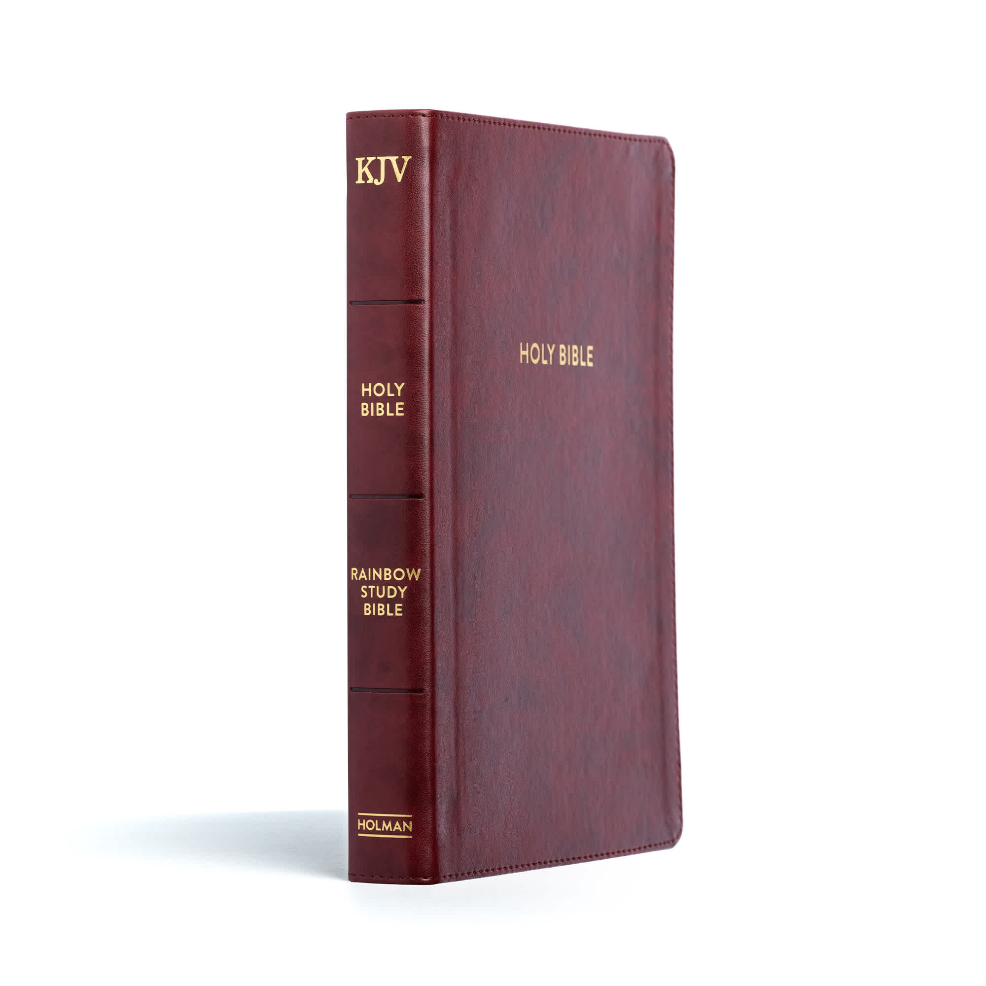 slide 2 of 10 for KJV Rainbow Study Bible, Burgundy LeatherTouch