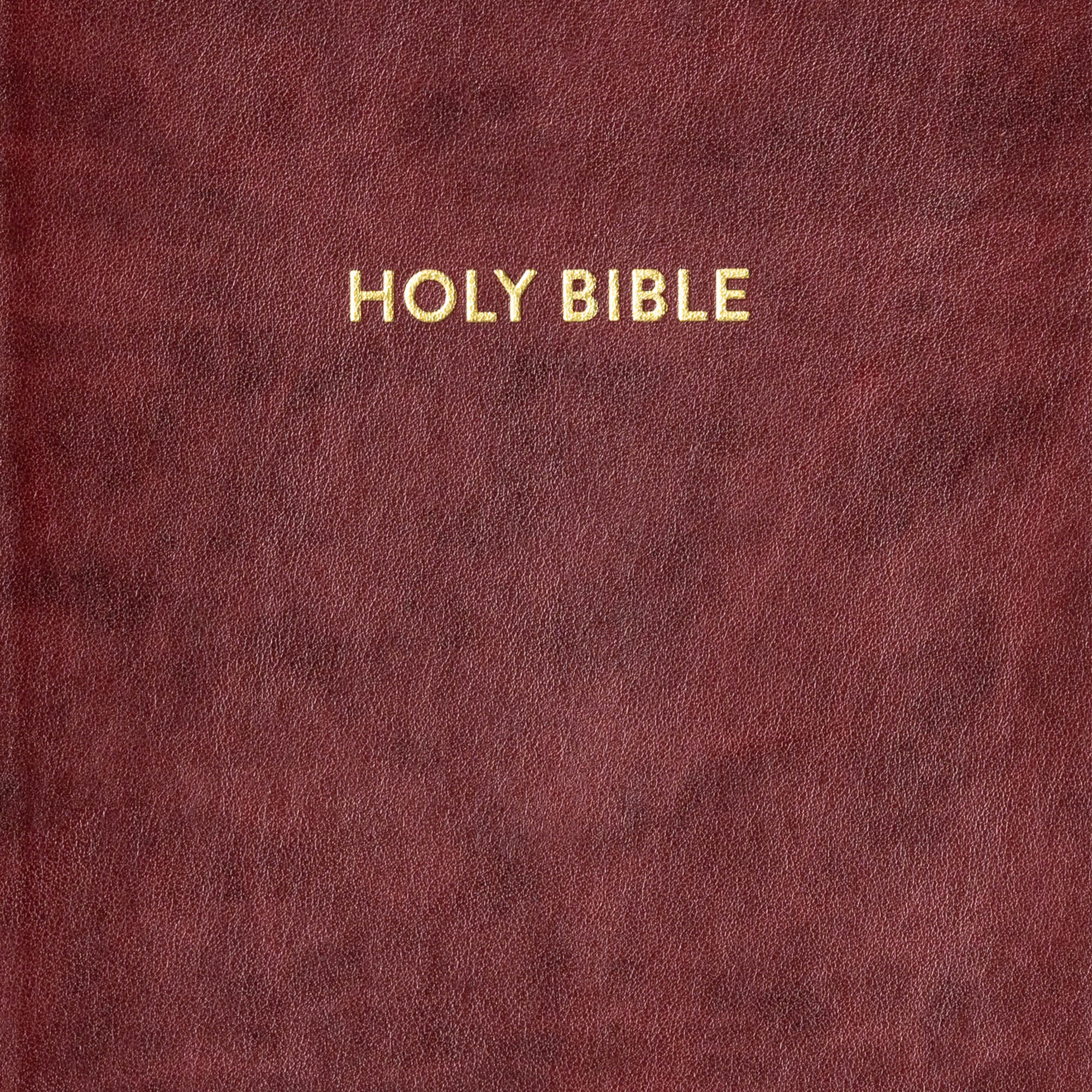 slide 9 of 10 for KJV Rainbow Study Bible, Burgundy LeatherTouch