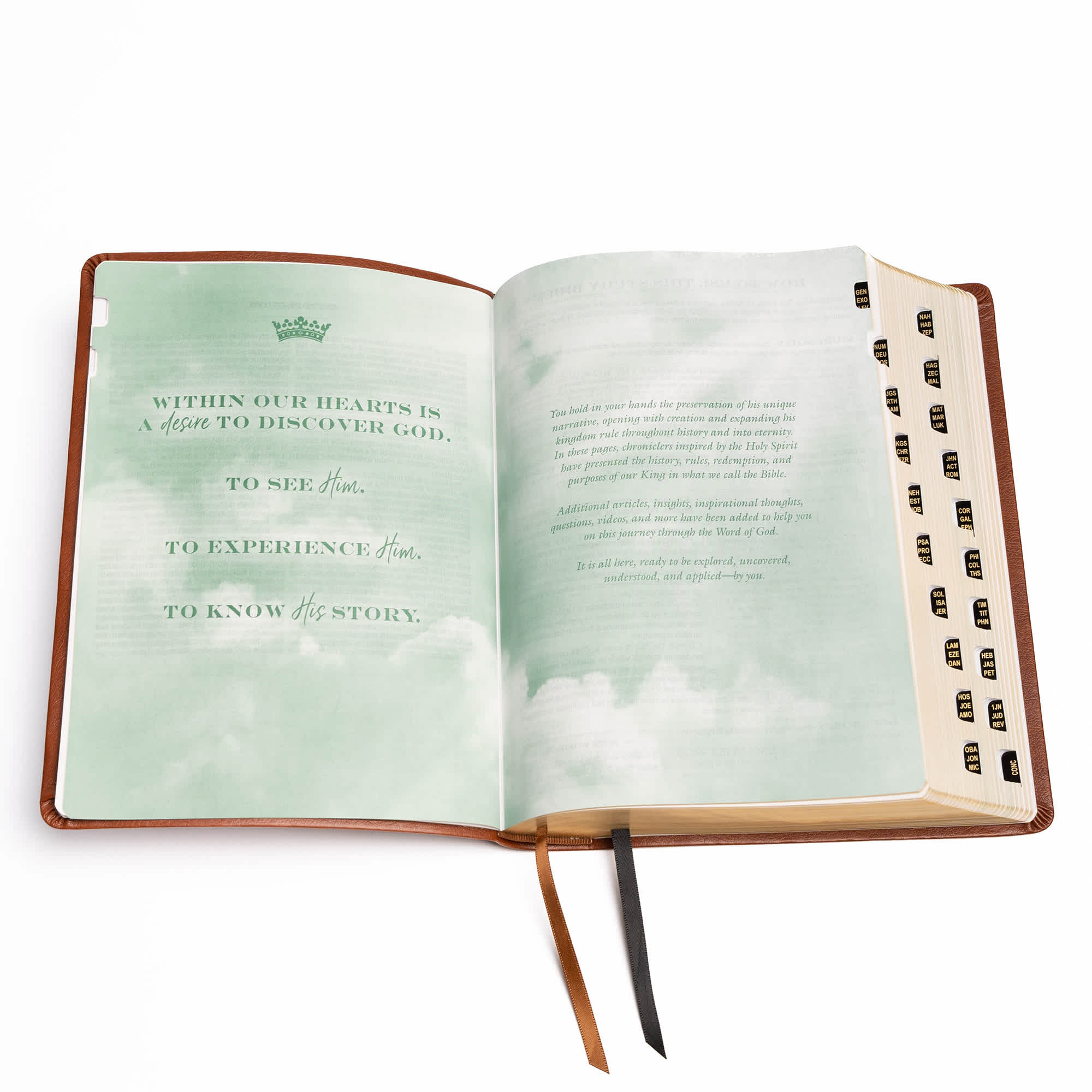 slide 5 of 11 for NASB Tony Evans Study Bible, Brown LeatherTouch, Indexed
