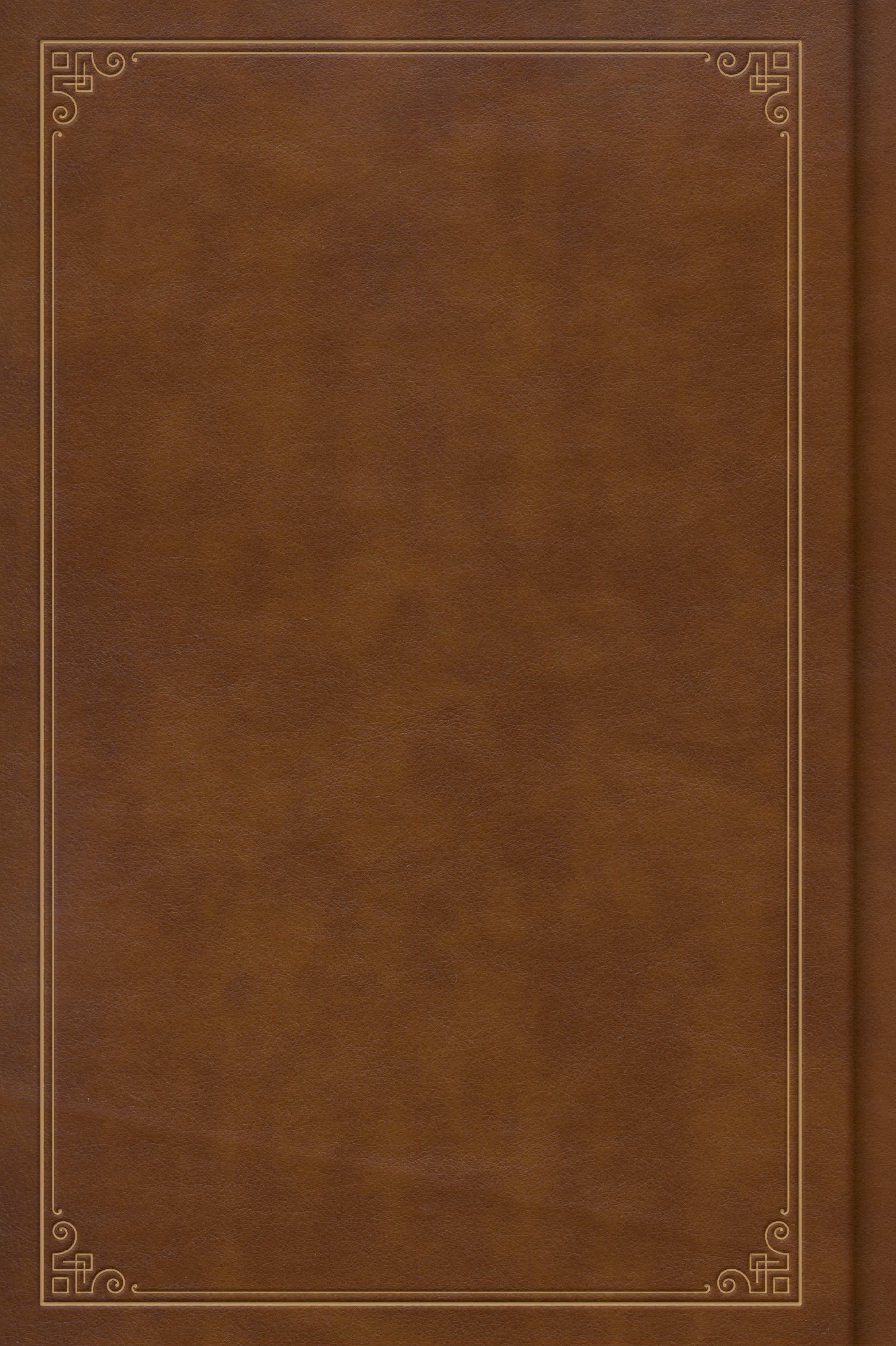 slide 3 of 4 for The Pilgrim's Progress, Deluxe Edition
