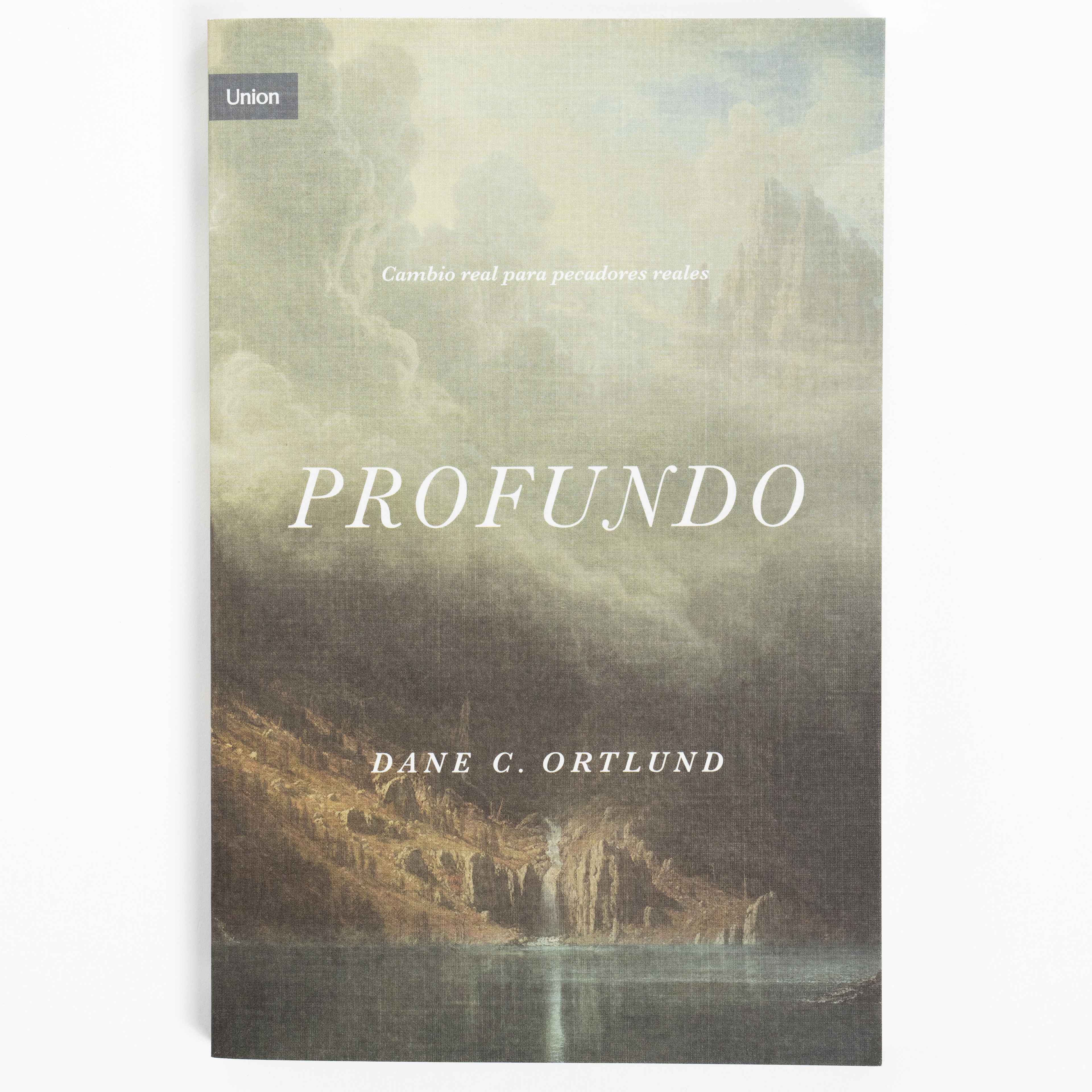 slide 2 of 5 for Profundo