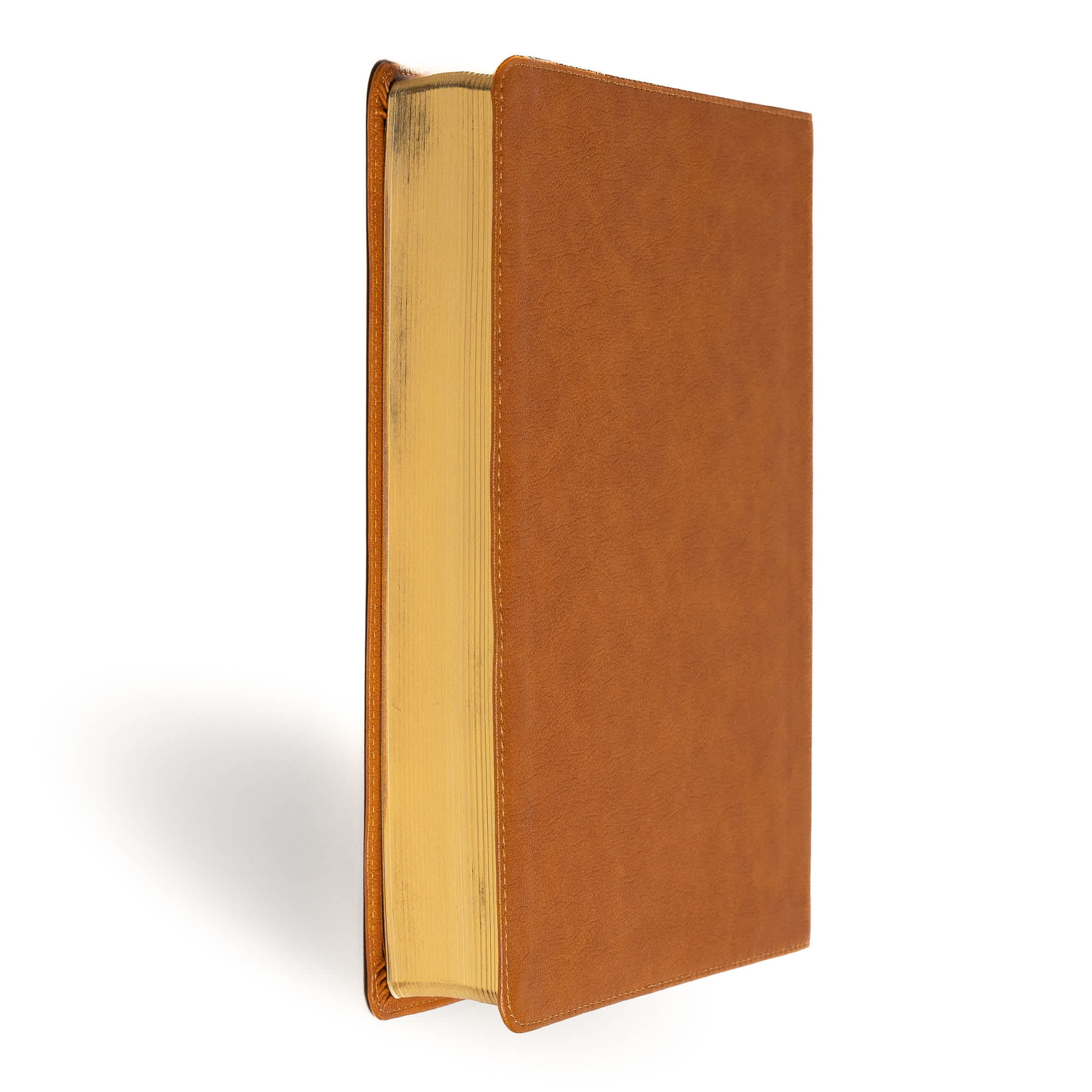 slide 3 of 10 for CSB Notetaking Bible, Large Print Edition, Camel LeatherTouch
