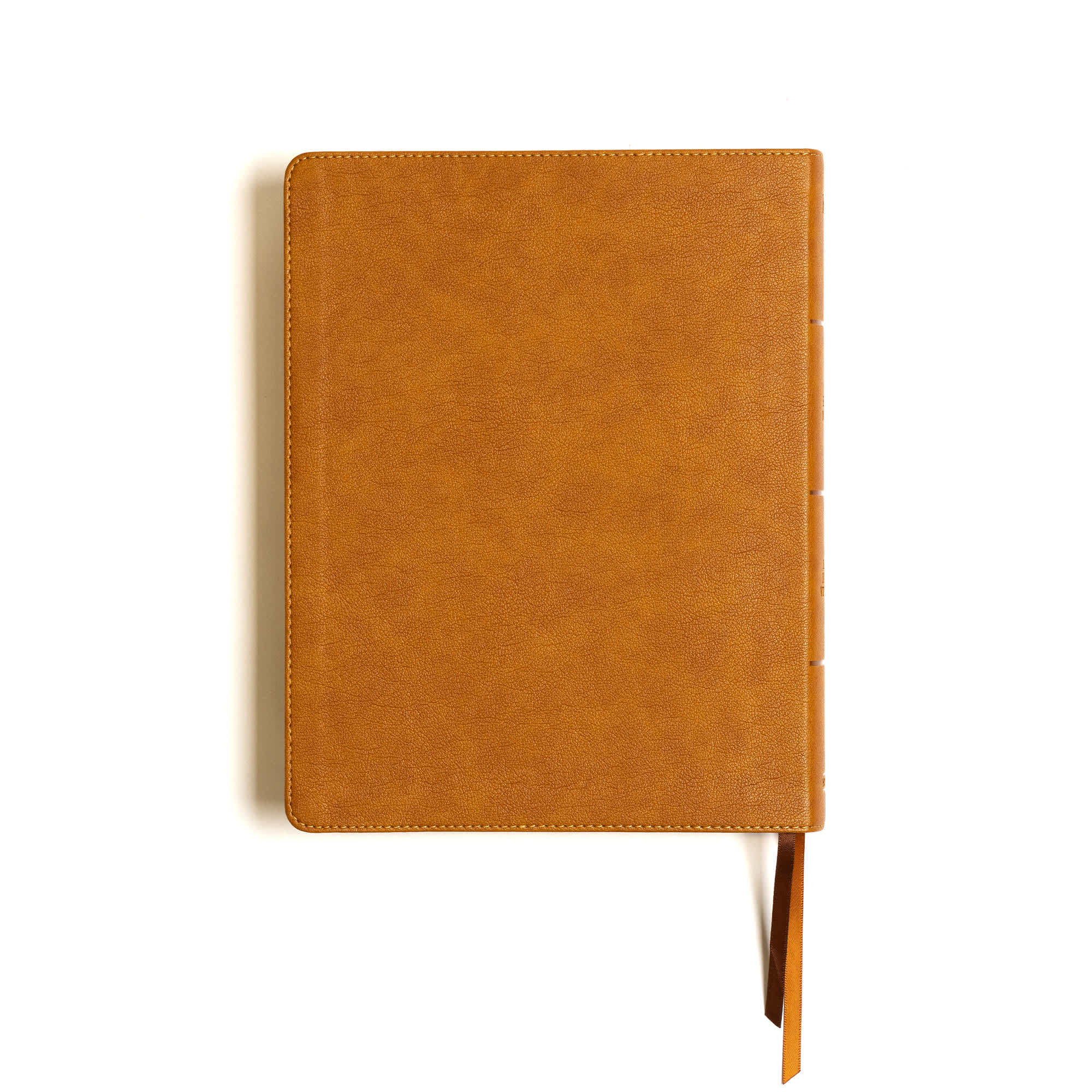 slide 9 of 10 for CSB Notetaking Bible, Large Print Edition, Camel LeatherTouch