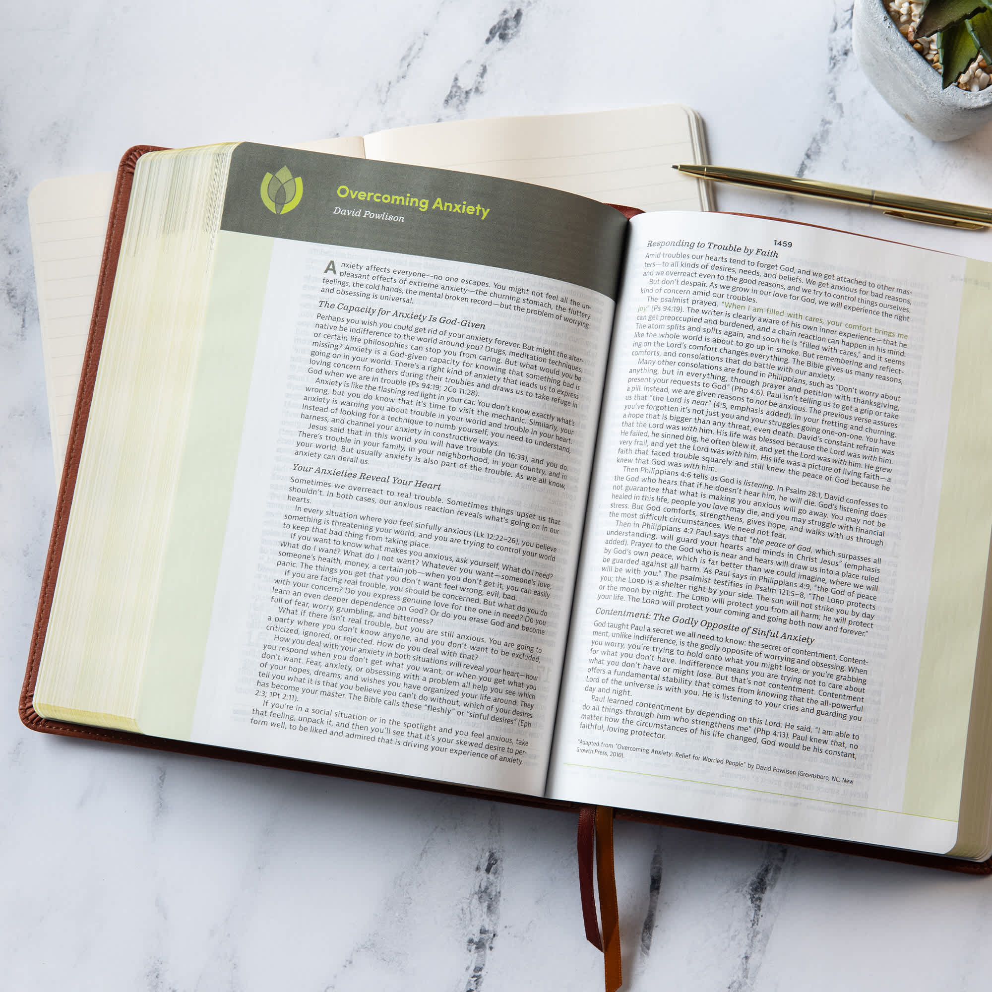 slide 6 of 17 for CSB Life Counsel Bible, Burnt Sienna LeatherTouch