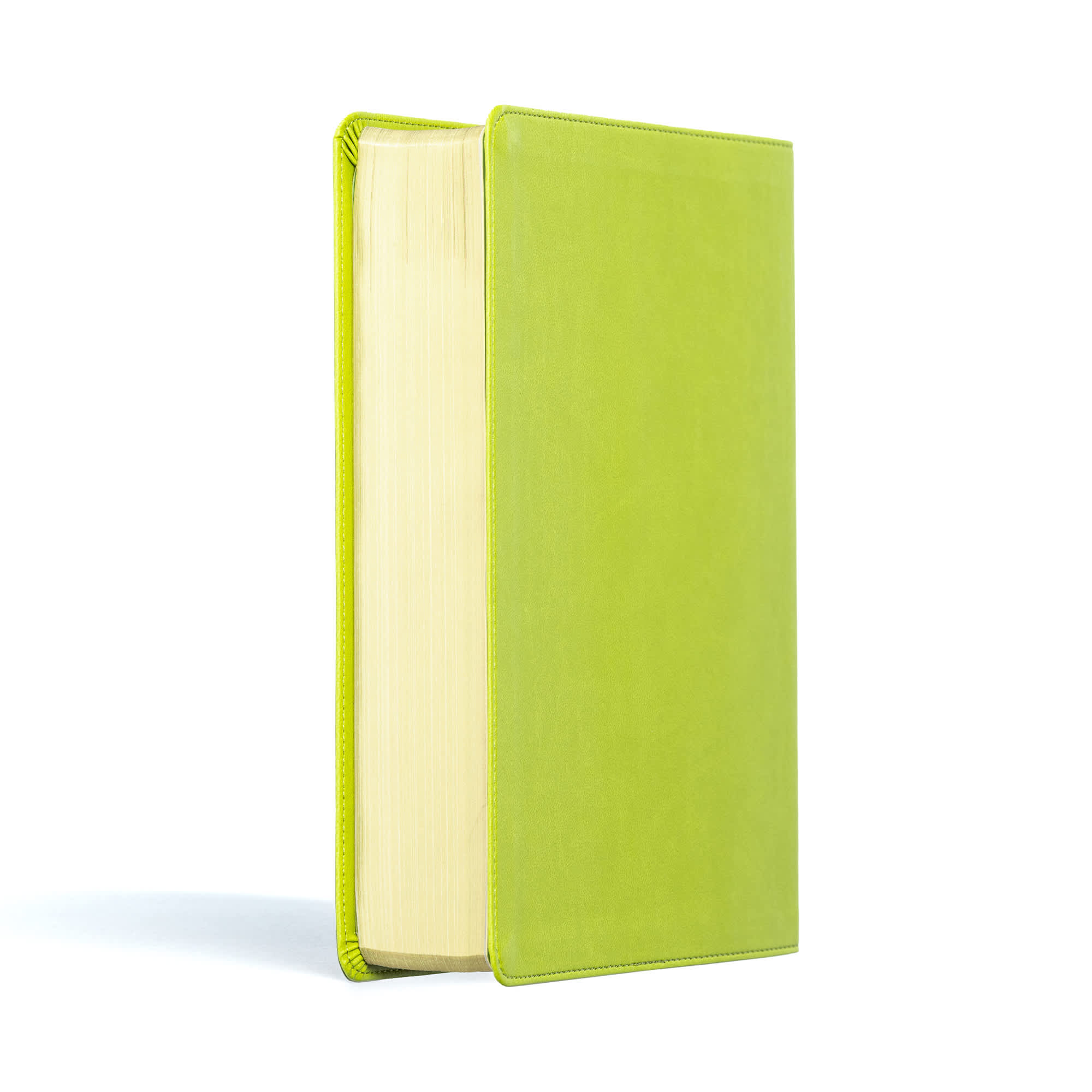 slide 3 of 17 for CSB Life Counsel Bible, Apple Green LeatherTouch