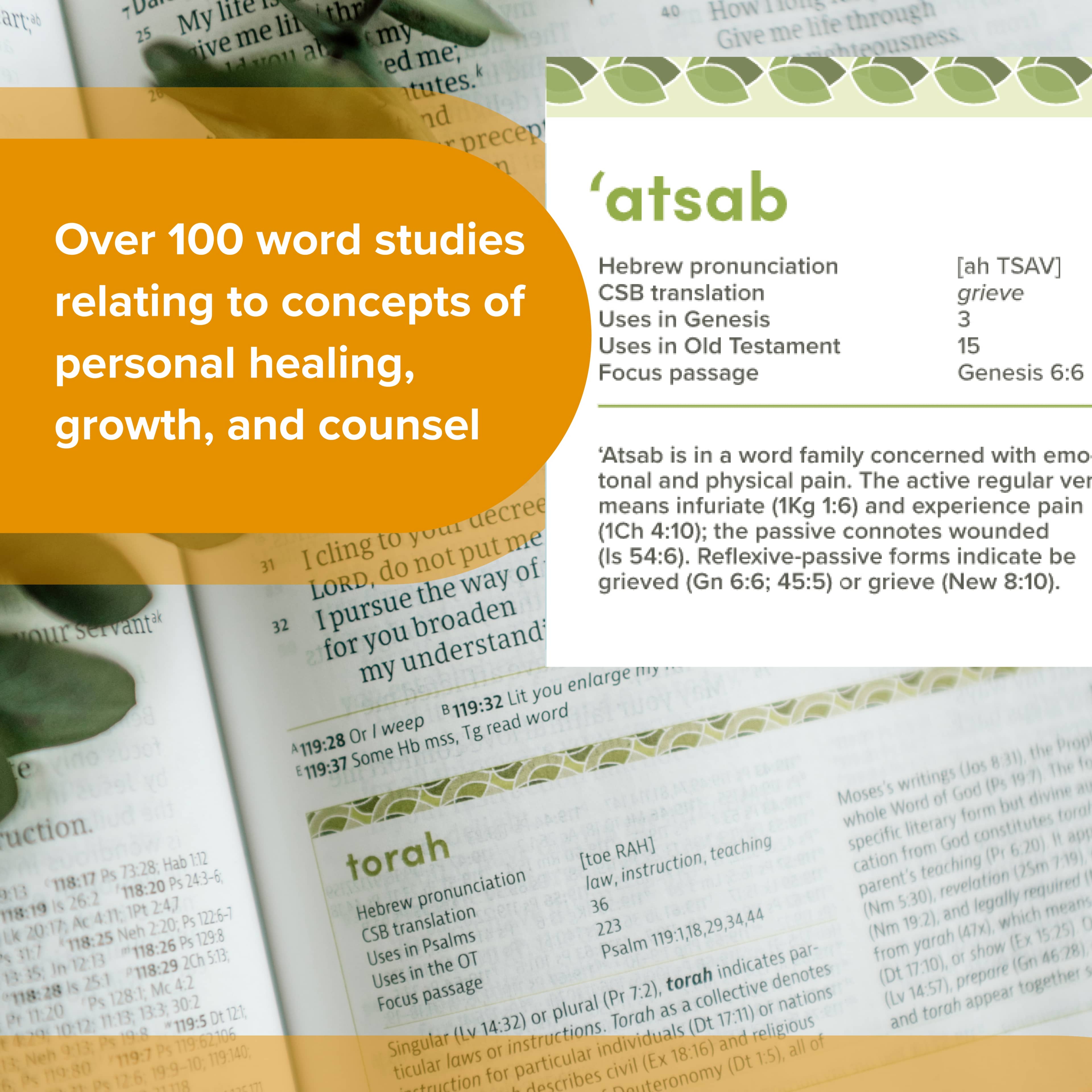 slide 14 of 17 for CSB Life Counsel Bible, Apple Green LeatherTouch