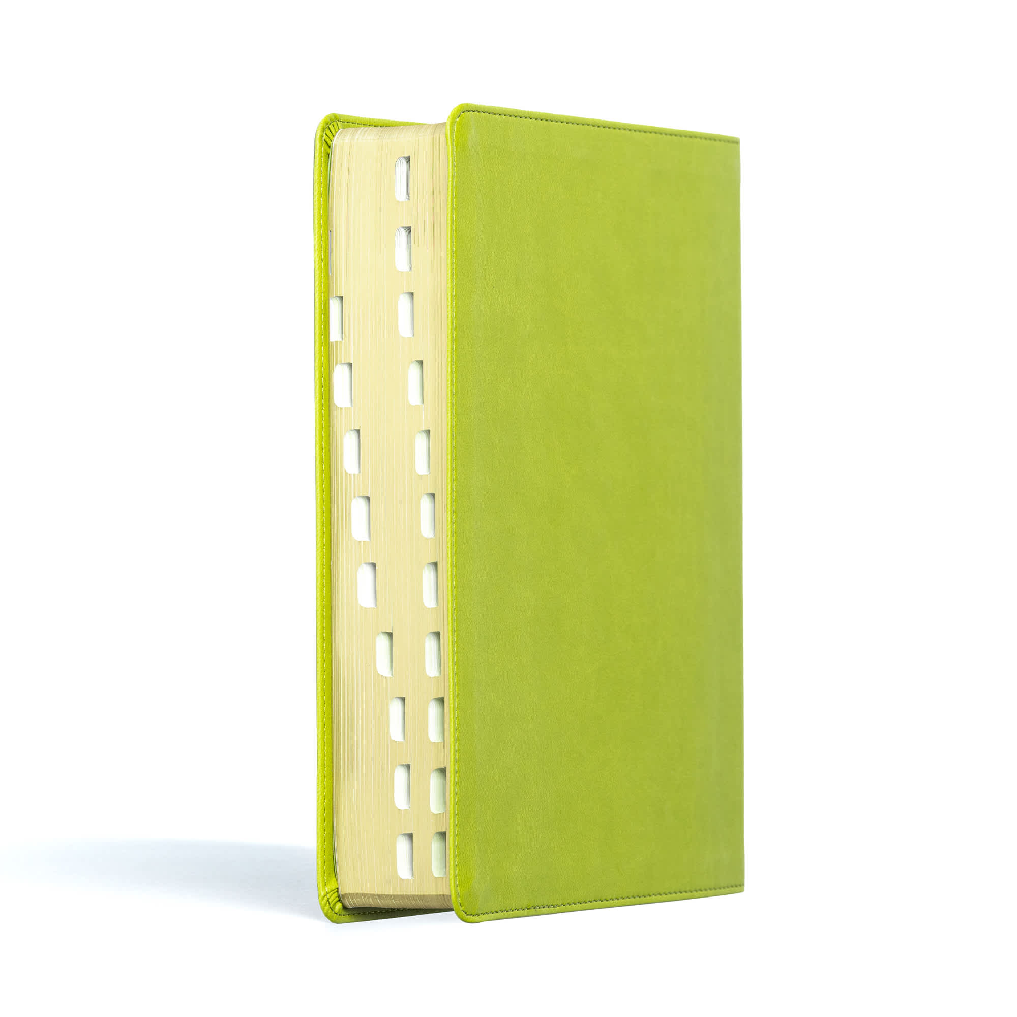 slide 3 of 17 for CSB Life Counsel Bible, Apple Green LeatherTouch, Indexed