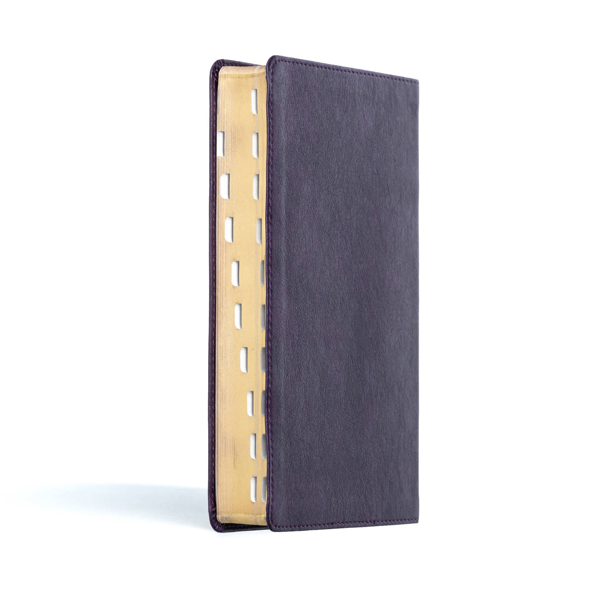 slide 3 of 10 for CSB Giant Print Reference Bible, Plum LeatherTouch, Indexed